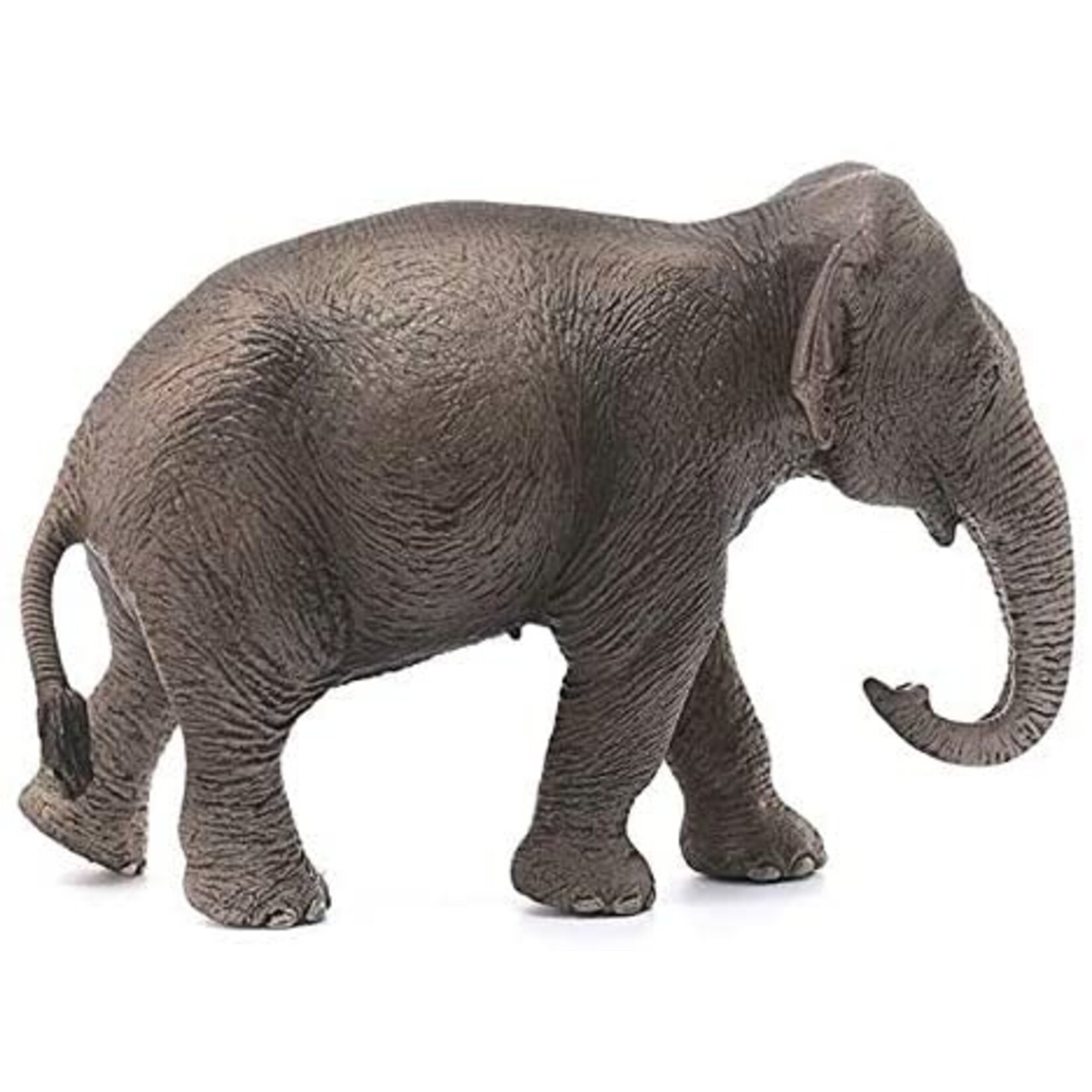 Schleich 14753 - Asian Elephant Female