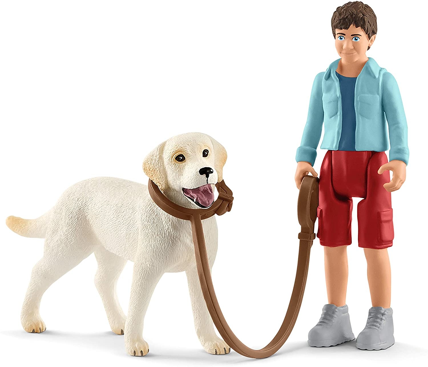 42478 - Walking w/Labrador Retriever