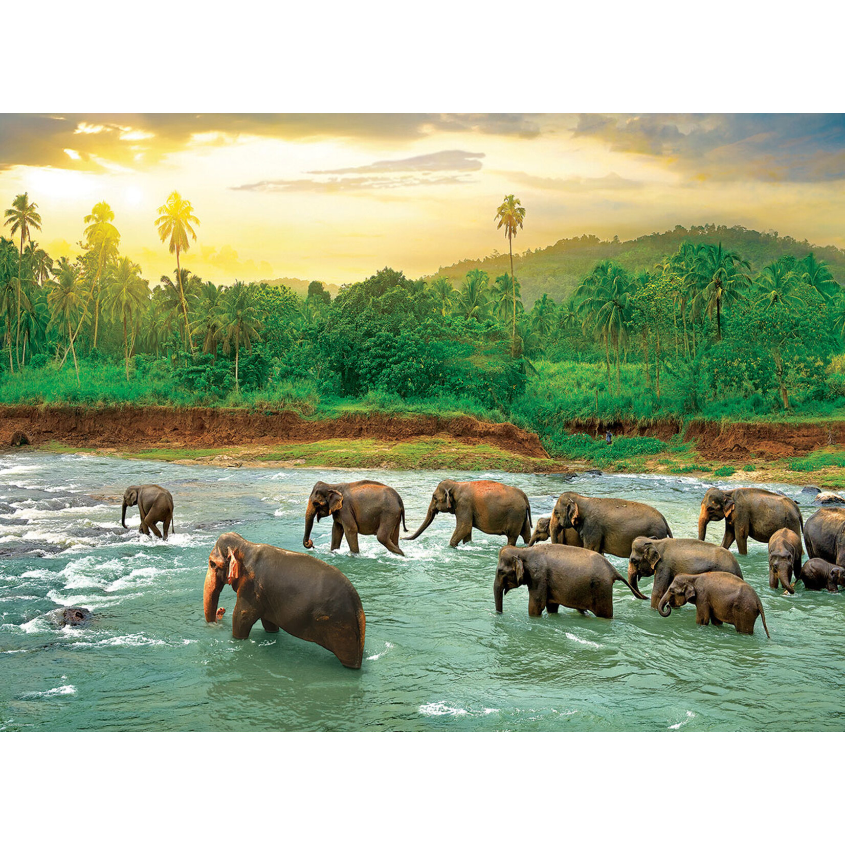 Eurographics Rainforest - 1000 Piece Puzzle