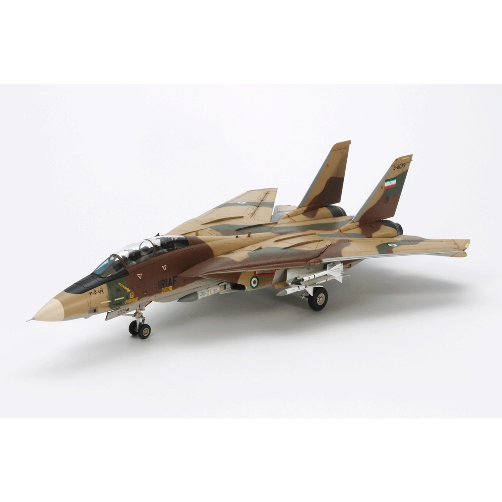 レベル GRUMMAN F-14A TOMCAT 1/48 1/48 Scale Grumman F-14A Tomcat - Professionally Built Scale
