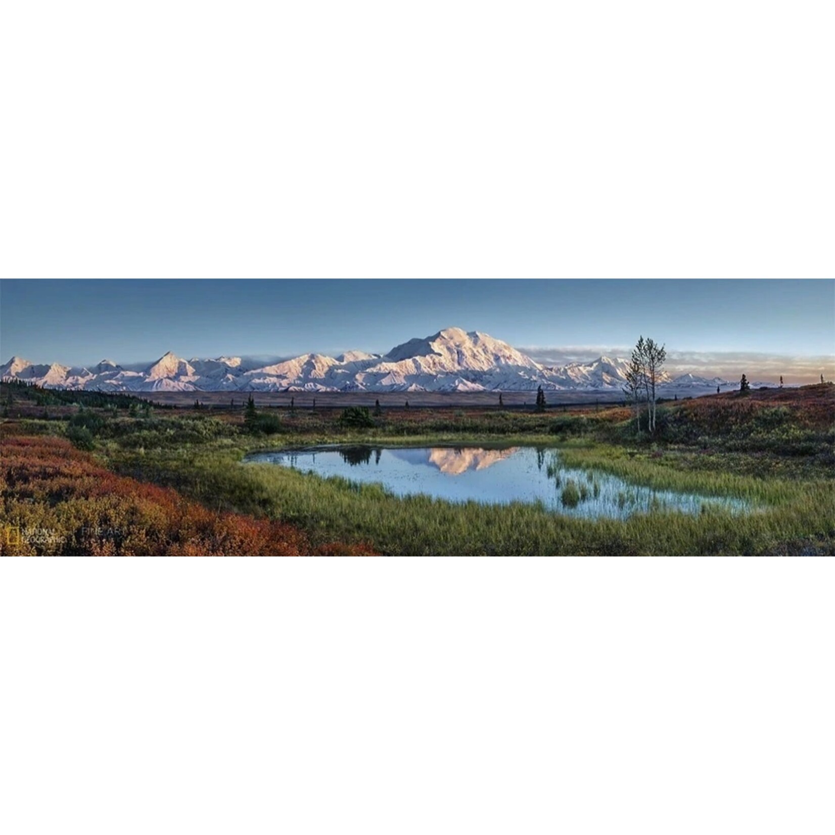 New York Puzzle Co Denali National Park - 1000 Piece Puzzle