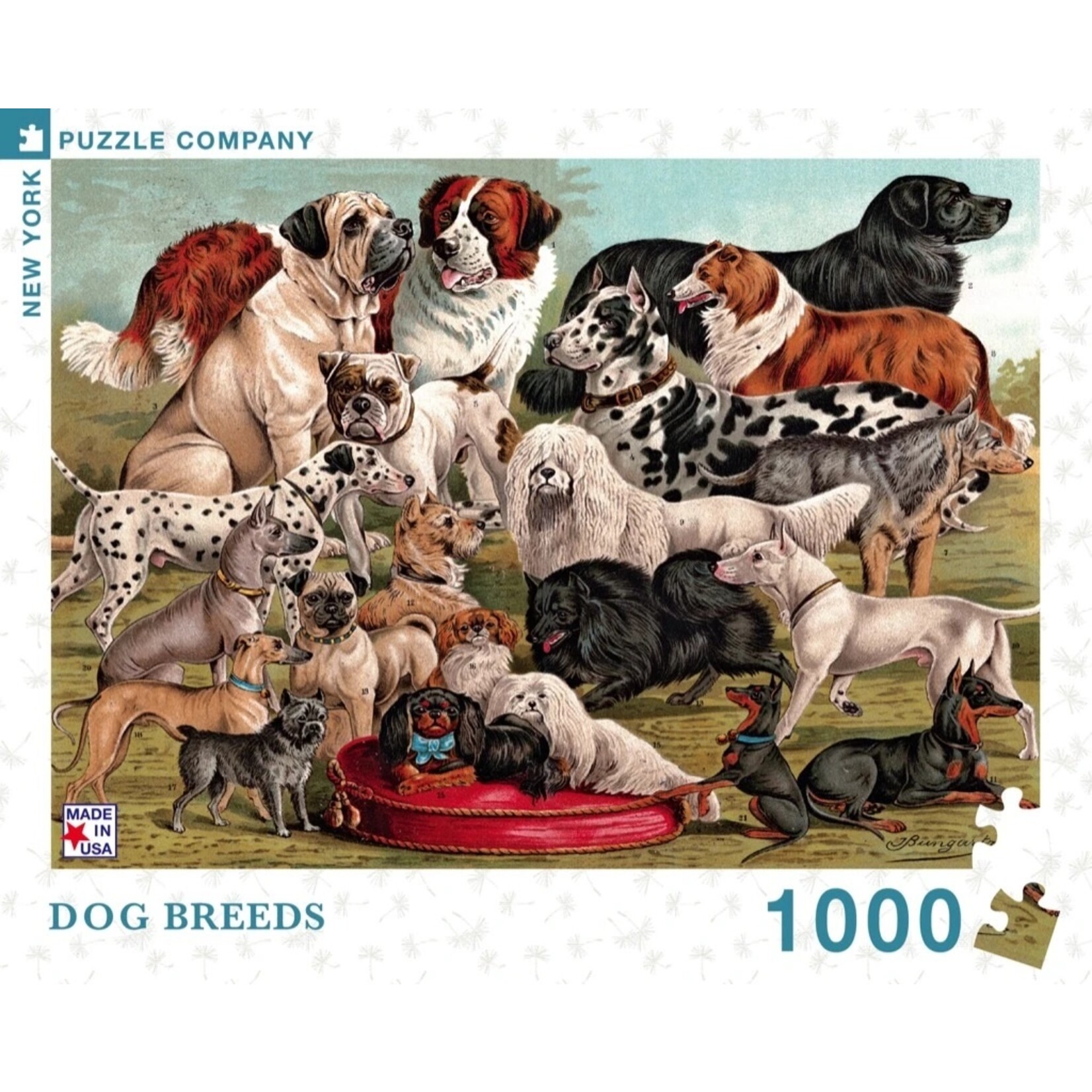 New York Puzzle Co Dog Breeds - 1000 Piece Puzzle