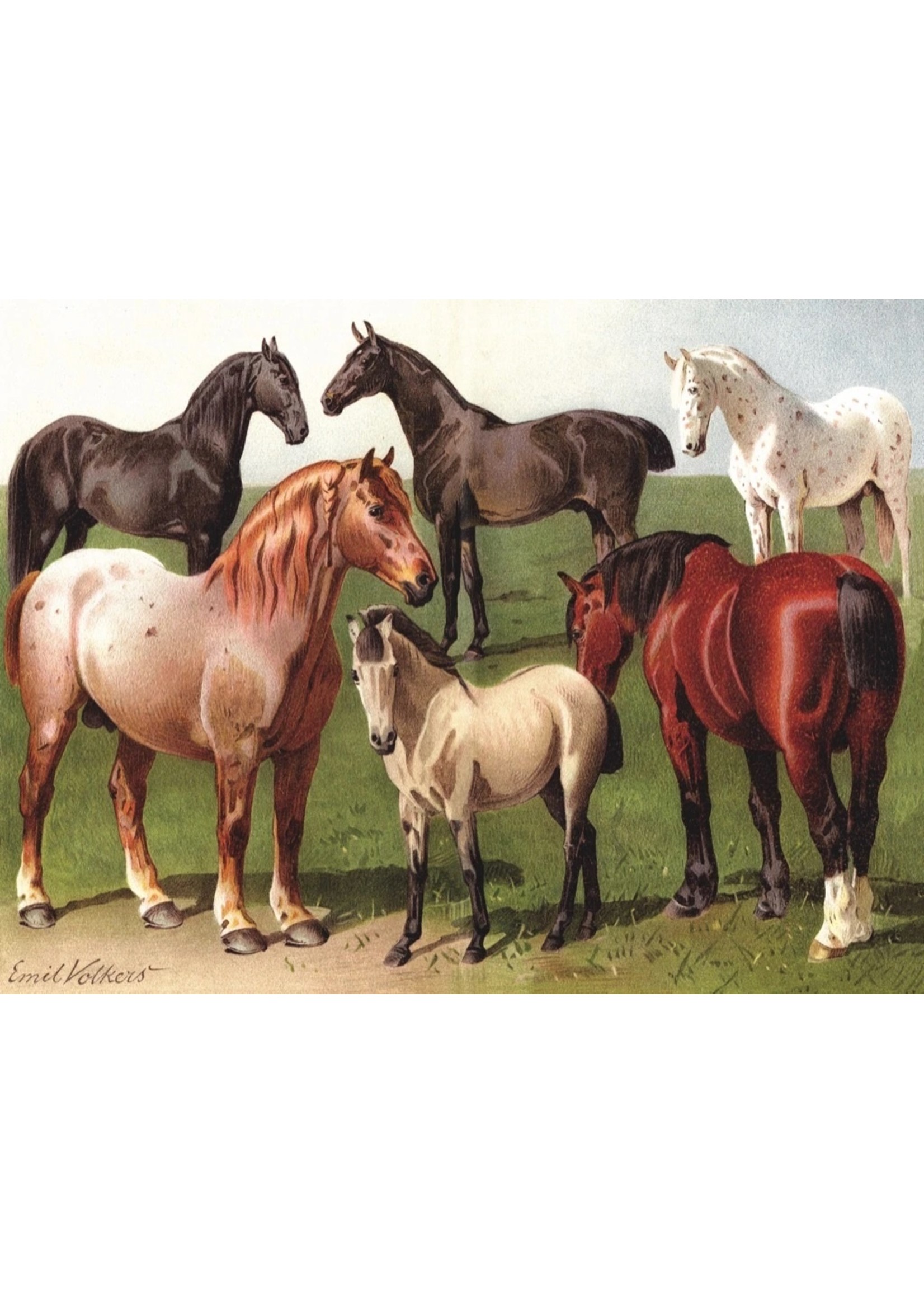 New York Puzzle Co Horse Breeds - 1000 Piece Puzzle