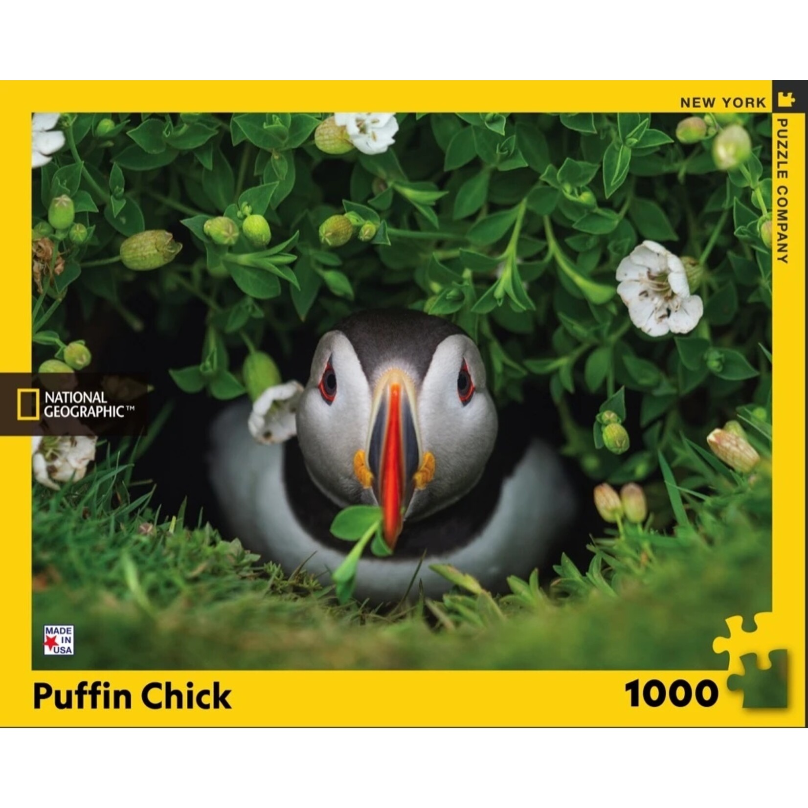 New York Puzzle Co Puffin Chick - 1000 Piece Puzzle