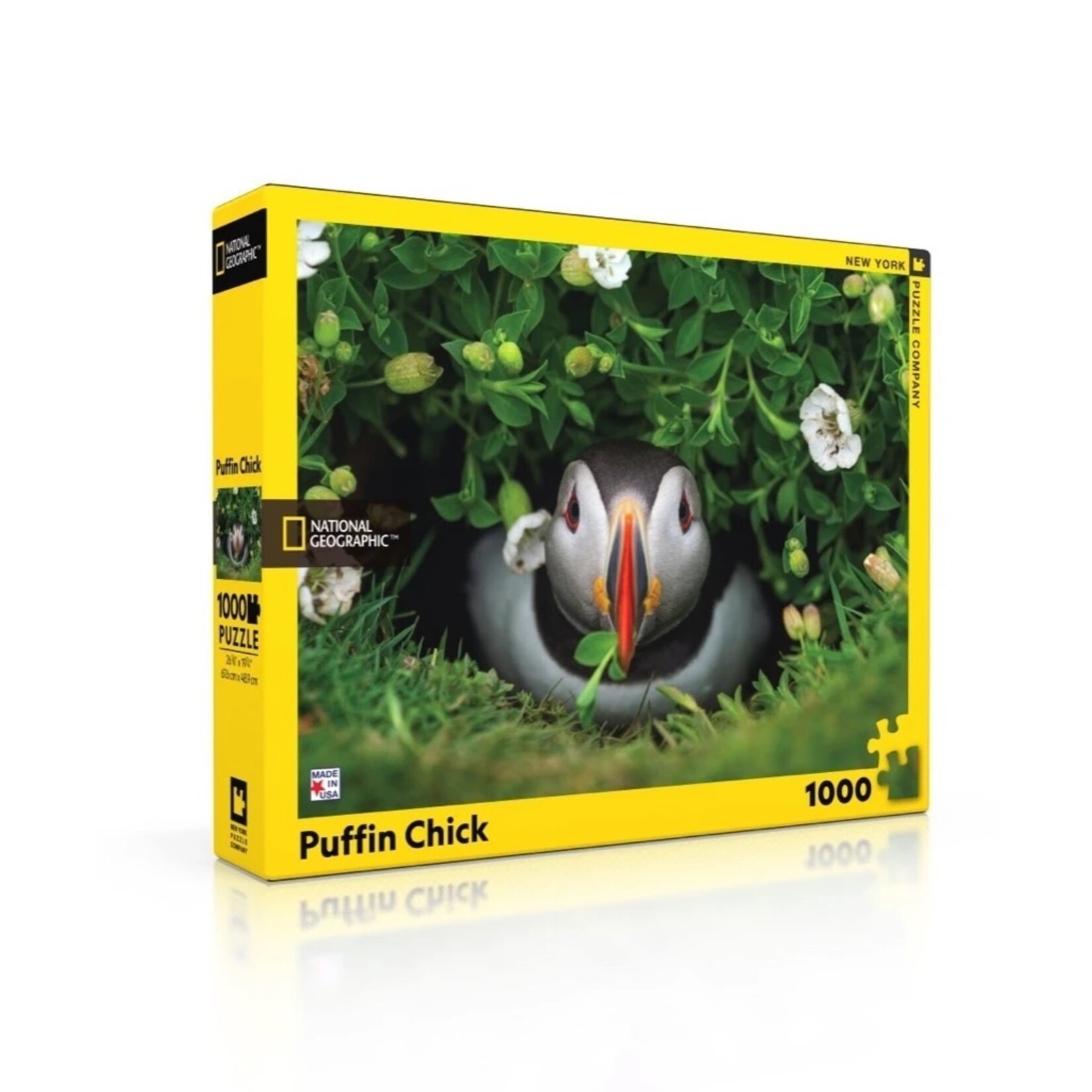 New York Puzzle Co Puffin Chick - 1000 Piece Puzzle