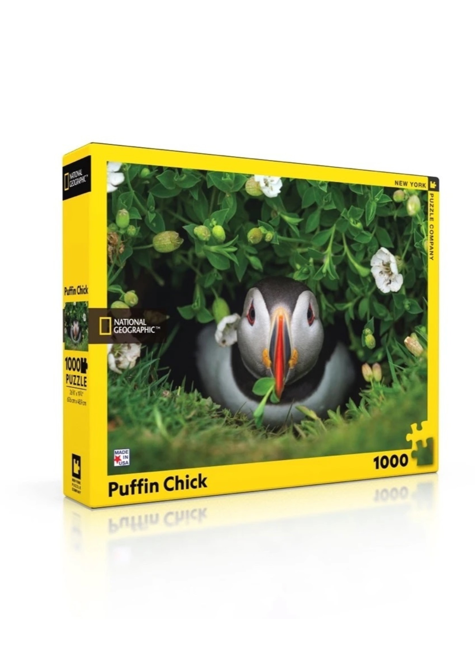 New York Puzzle Co Puffin Chick - 1000 Piece Puzzle