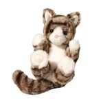 Douglas Gray Striped Kitten - Lil’ Handful