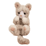 Douglas Gray Kitten - Lil' Handful