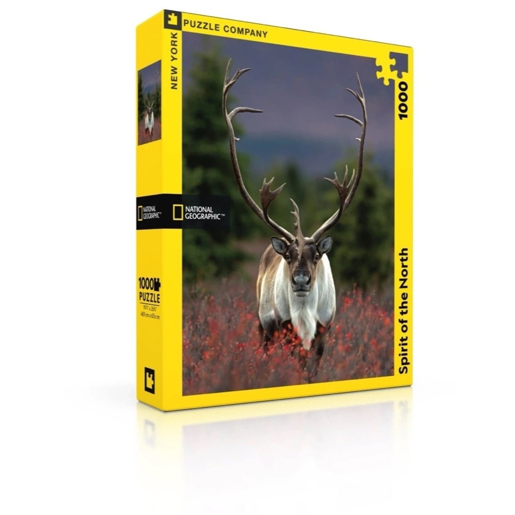 New York Puzzle Co Spirit of the North - 1000 Piece Puzzle