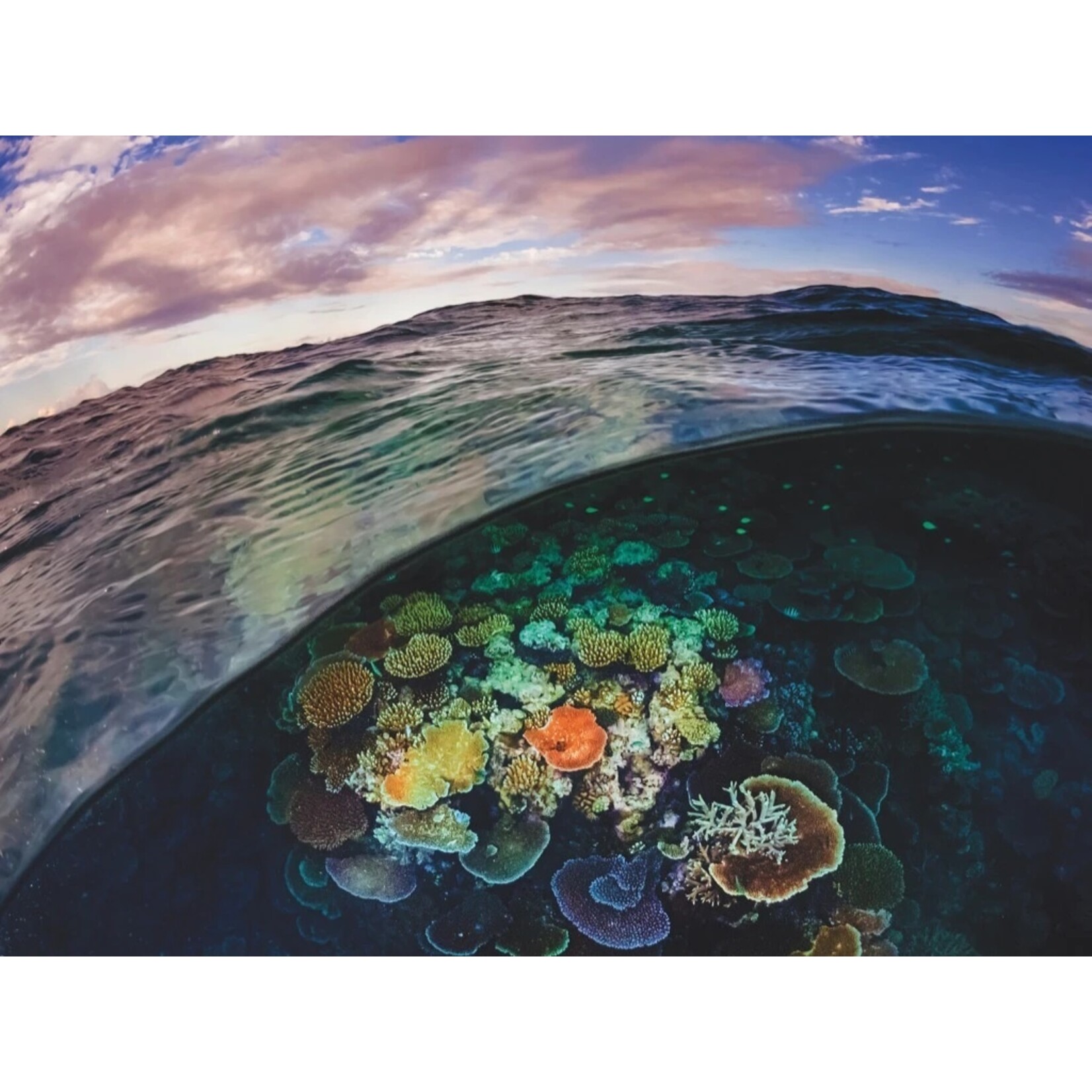 New York Puzzle Co Great Barrier Reef - 1000 Piece Puzzle