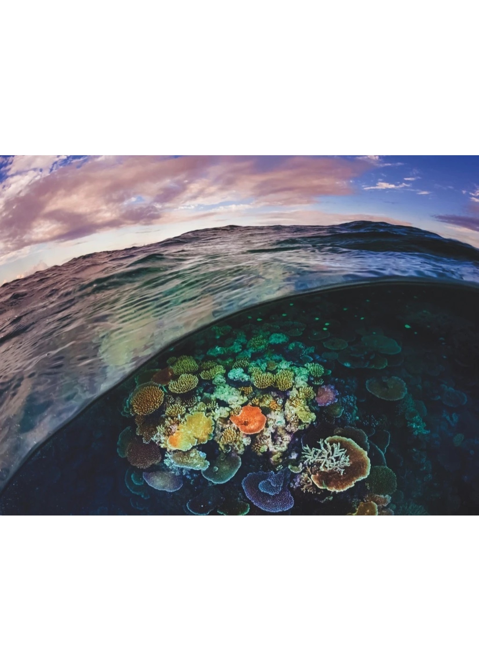 New York Puzzle Co Great Barrier Reef - 1000 Piece Puzzle