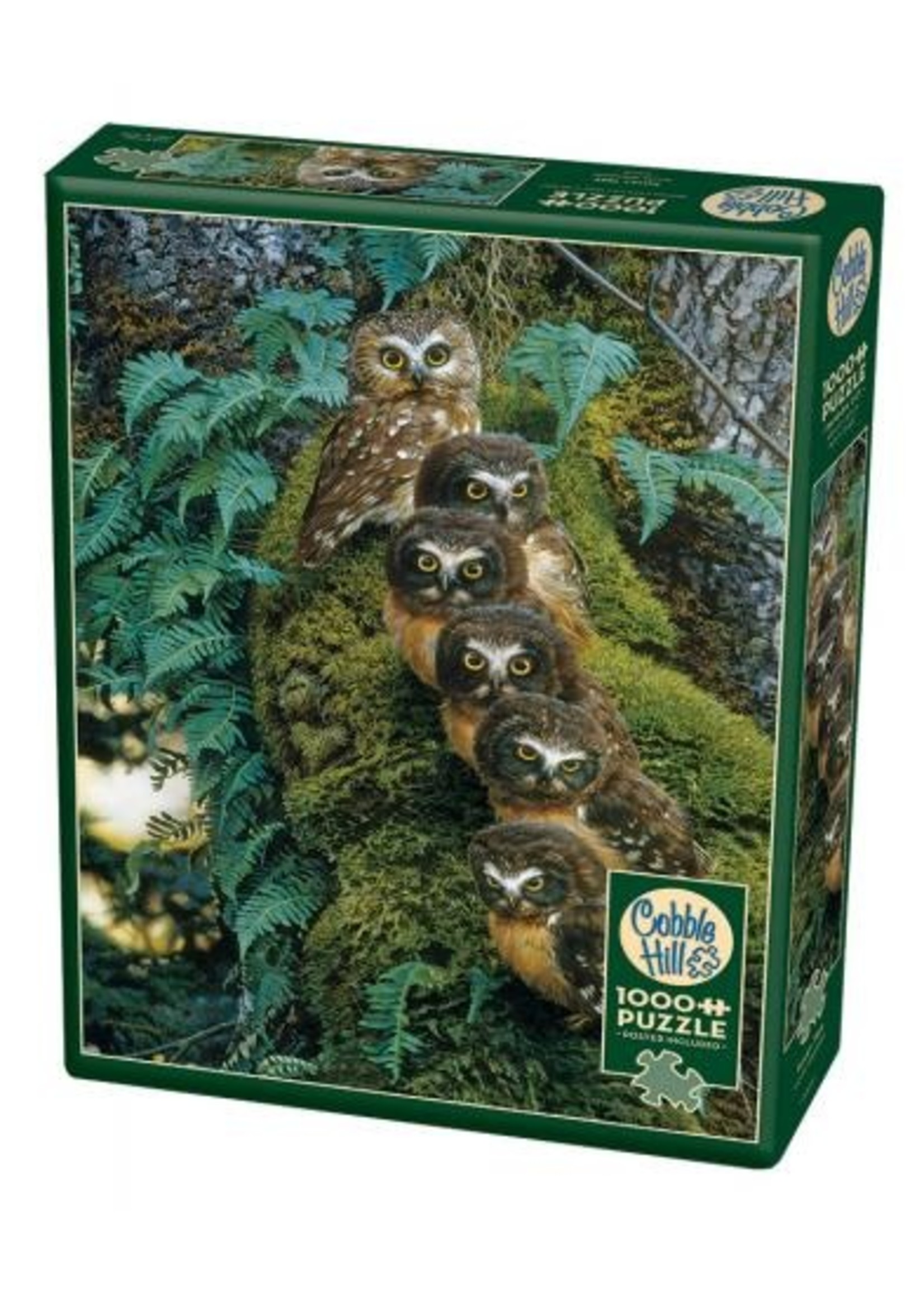 Cobble Hill Family Tree 1000 Piece Puzzle Hub Hobby