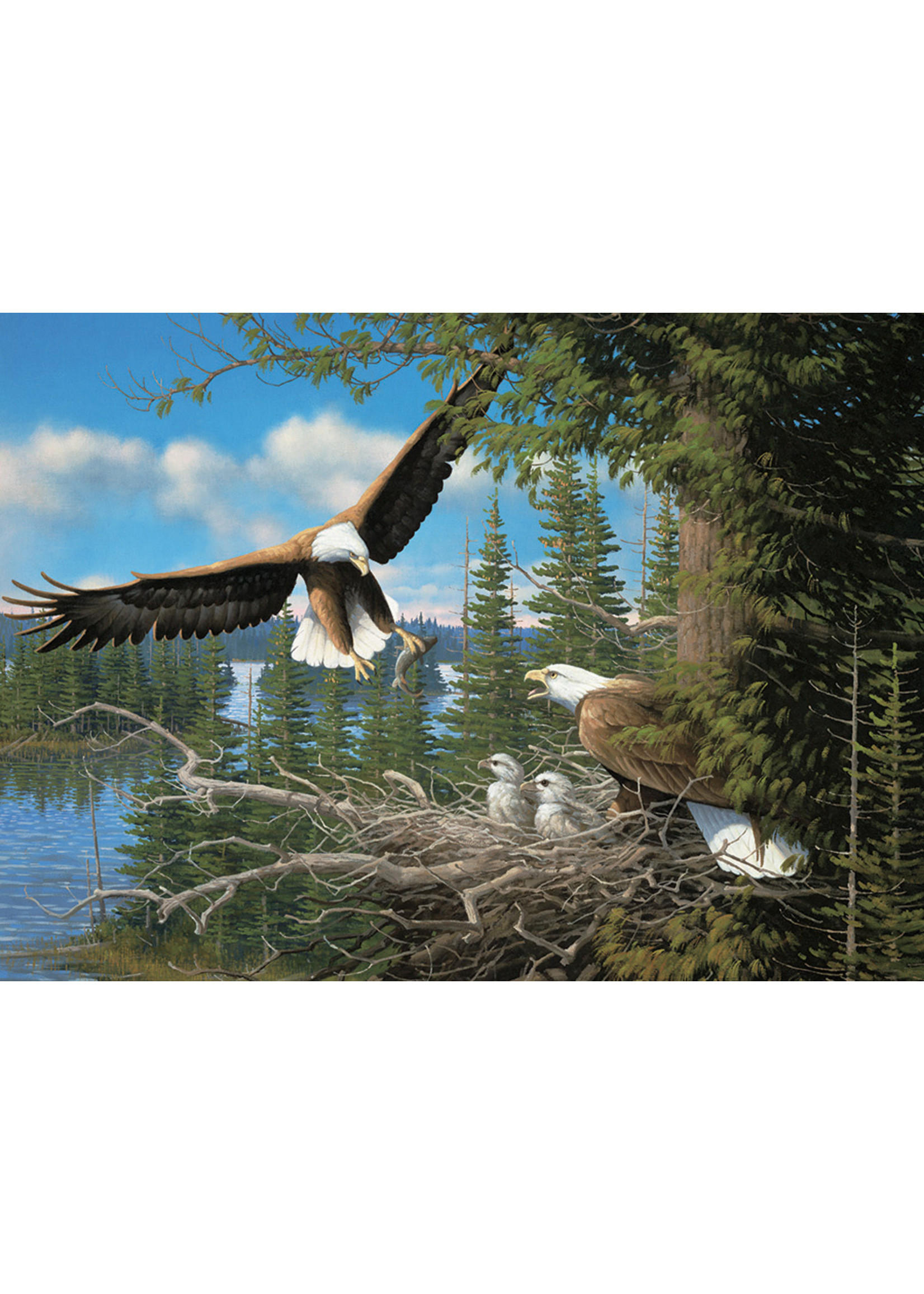 Cobble Hill Nesting Eagles 1000 Piece Puzzle Hub Hobby