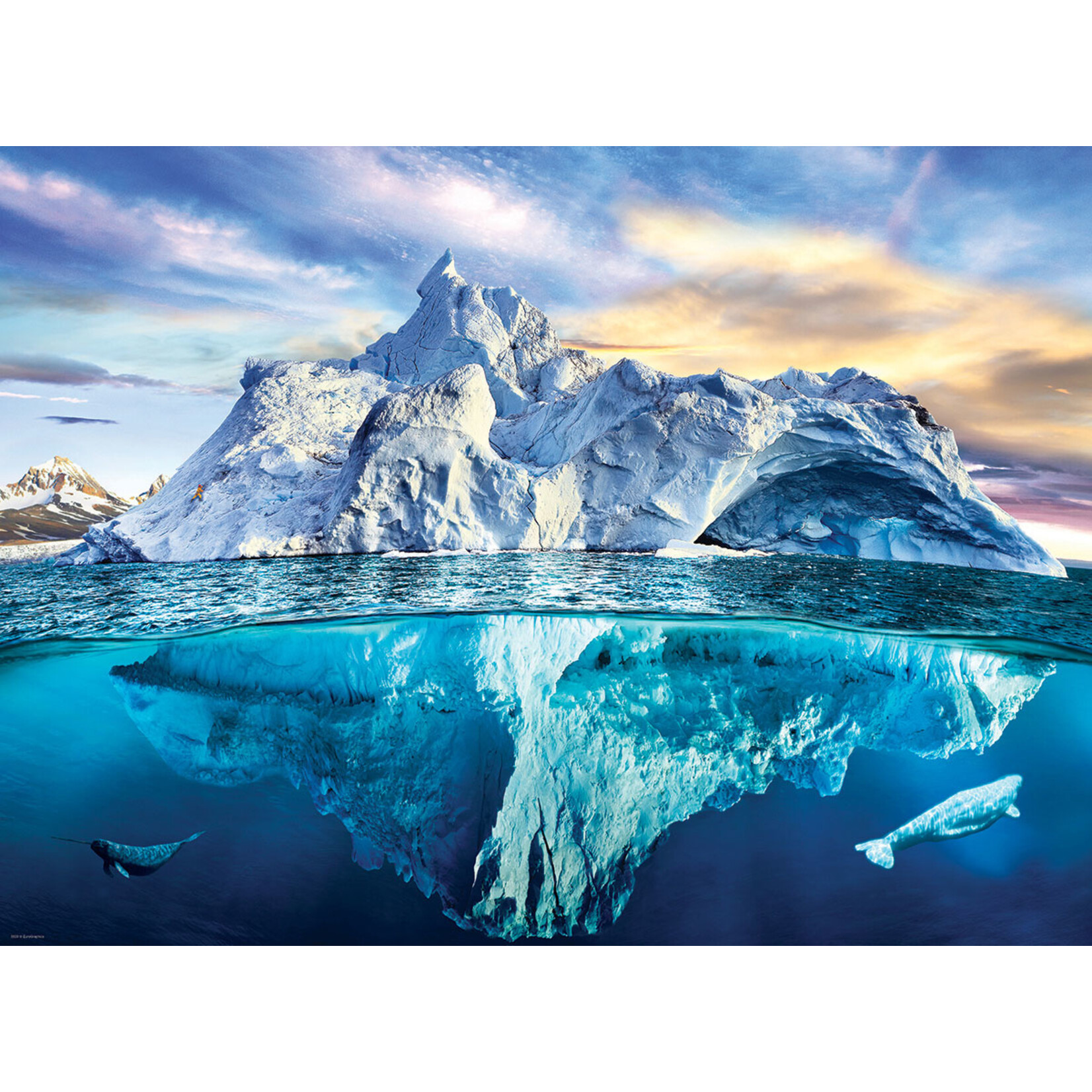 Eurographics Arctic - 1000 Piece Puzzle