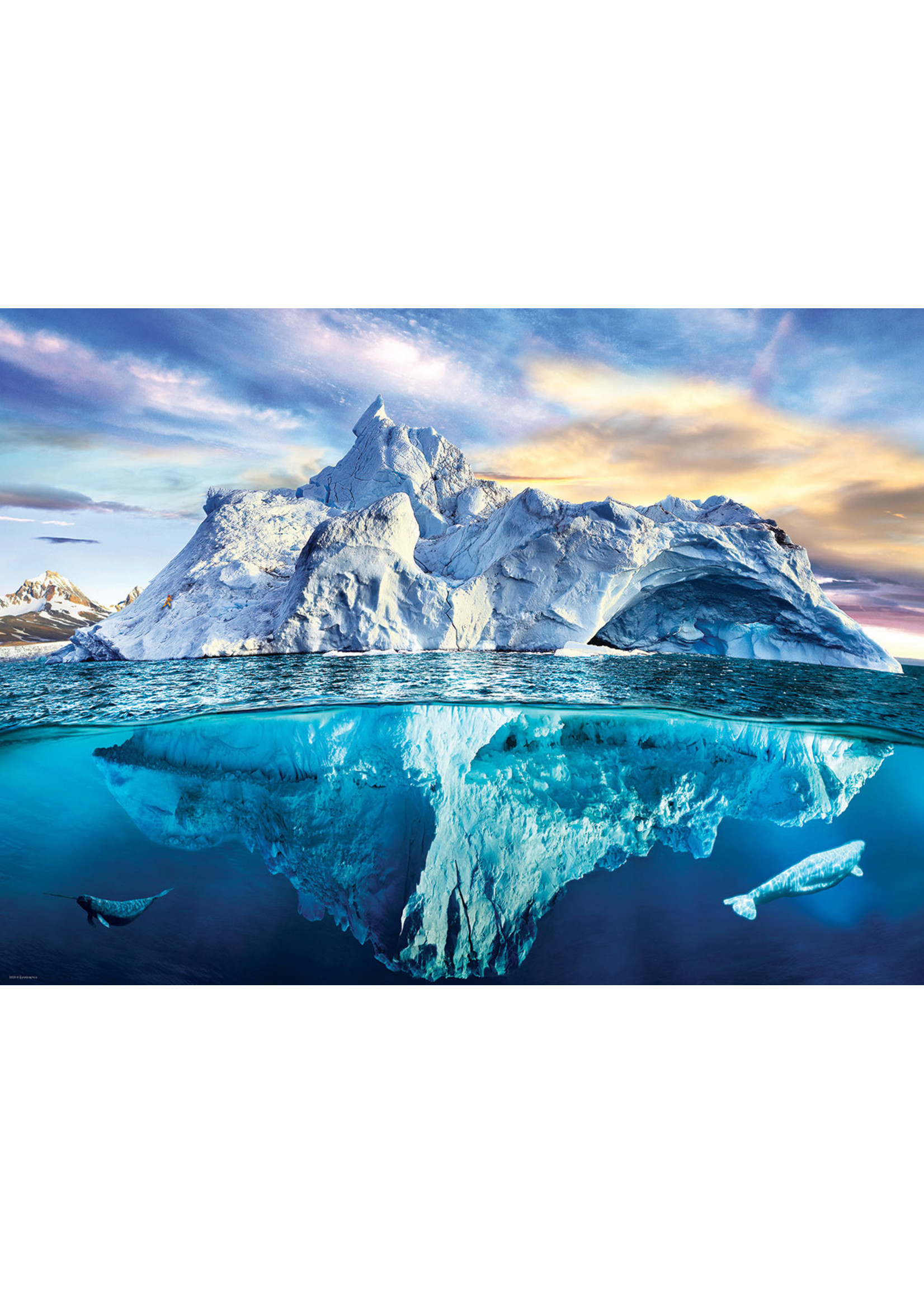 Eurographics Arctic - 1000 Piece Puzzle