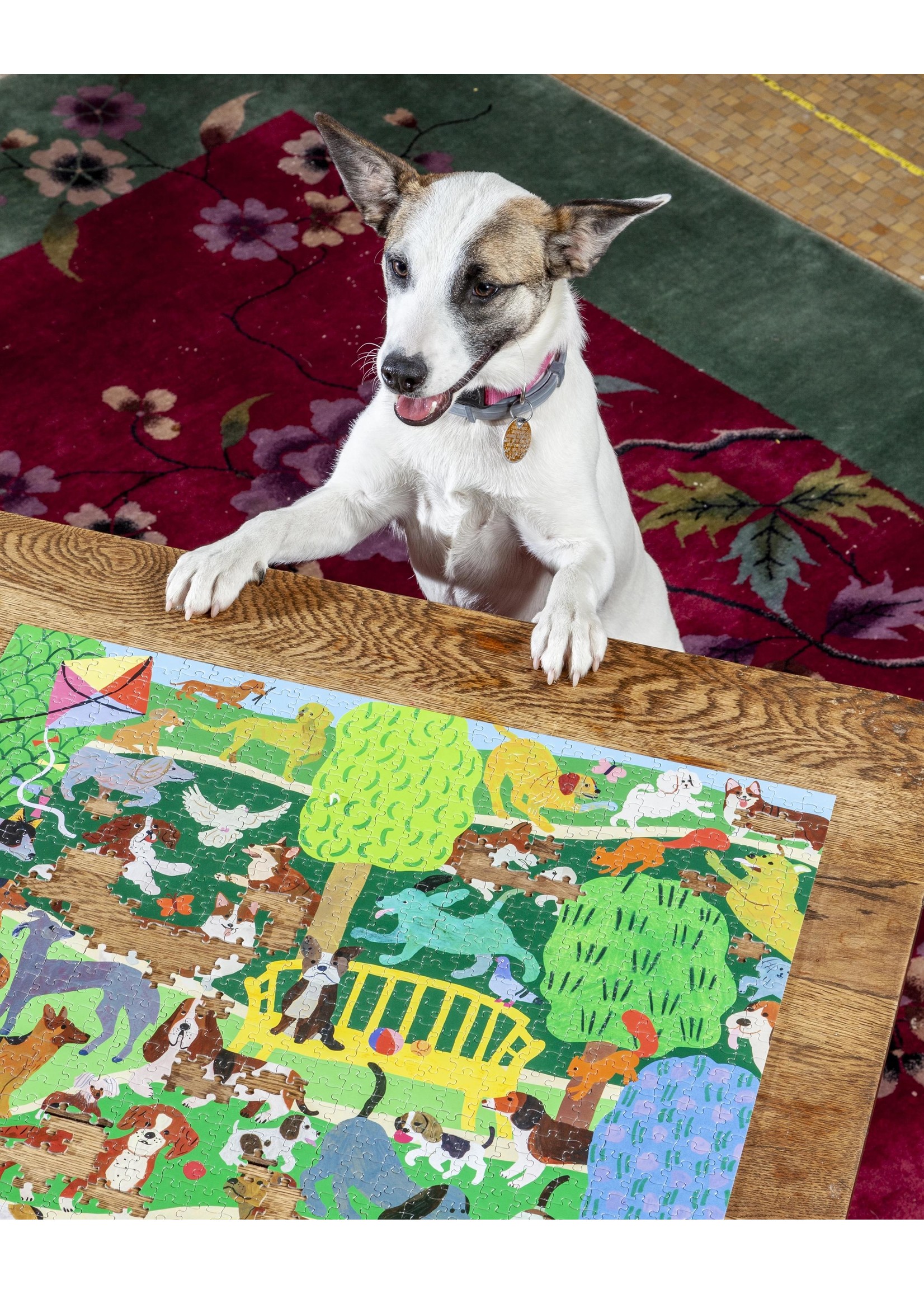 Eeboo Dogs in the Park - 1000 Piece Puzzle