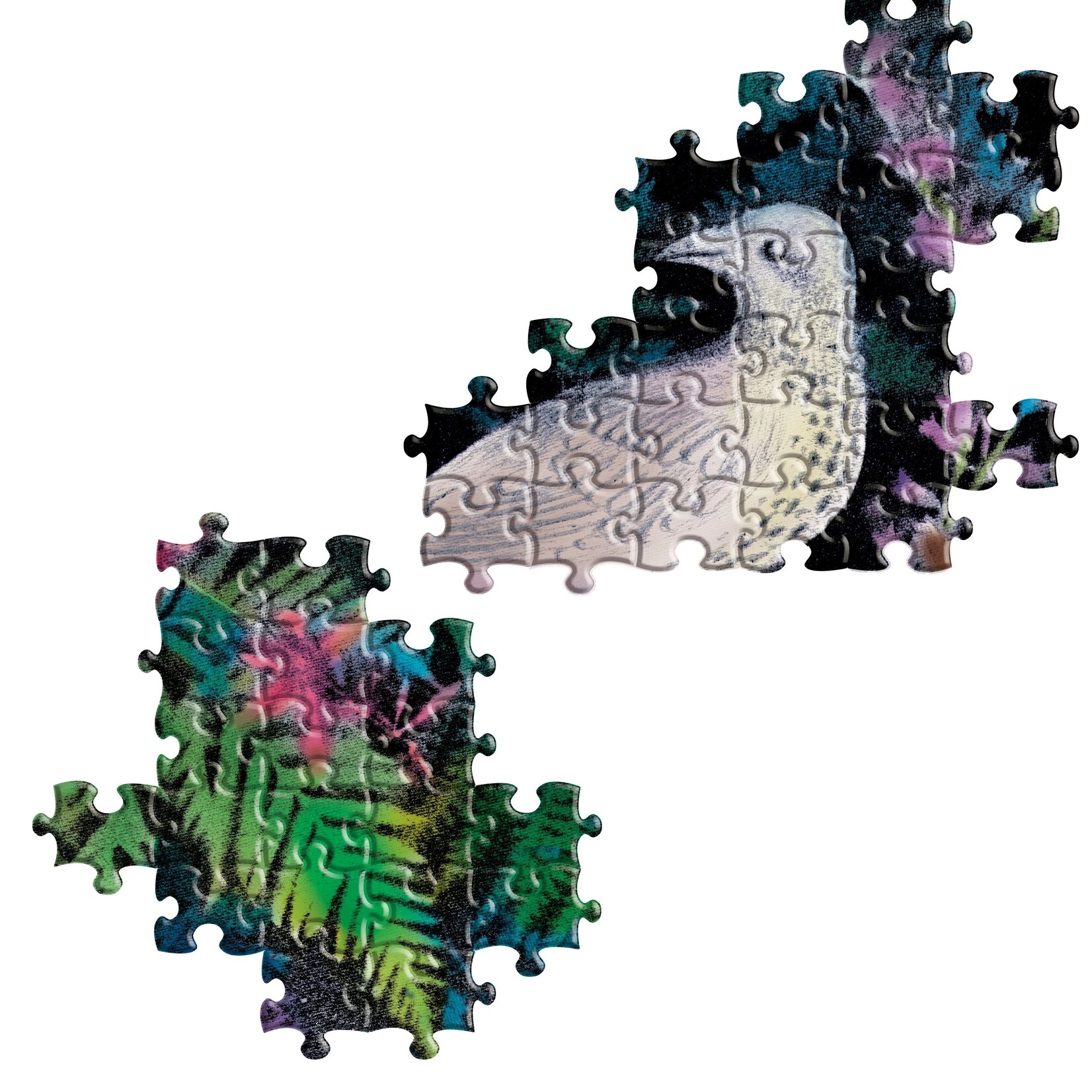 Eeboo Birds in Fern - 1000 Piece Puzzle