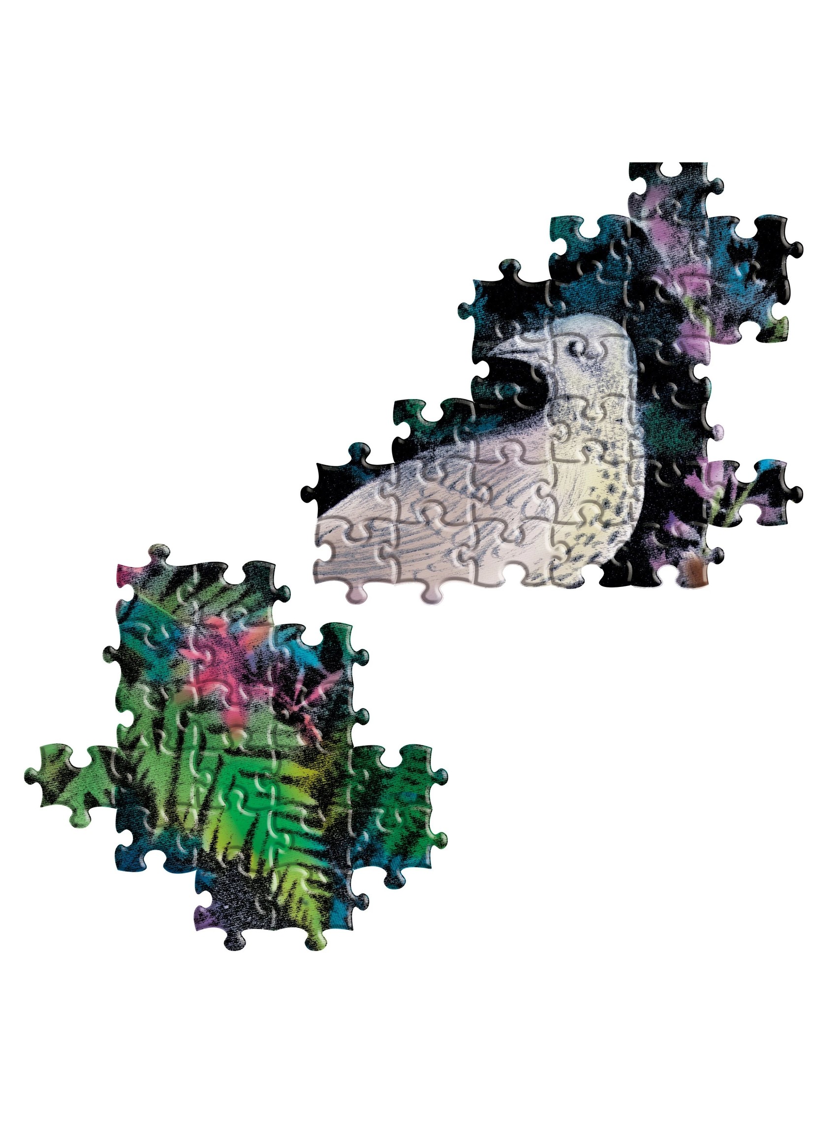 Eeboo Birds in Fern - 1000 Piece Puzzle