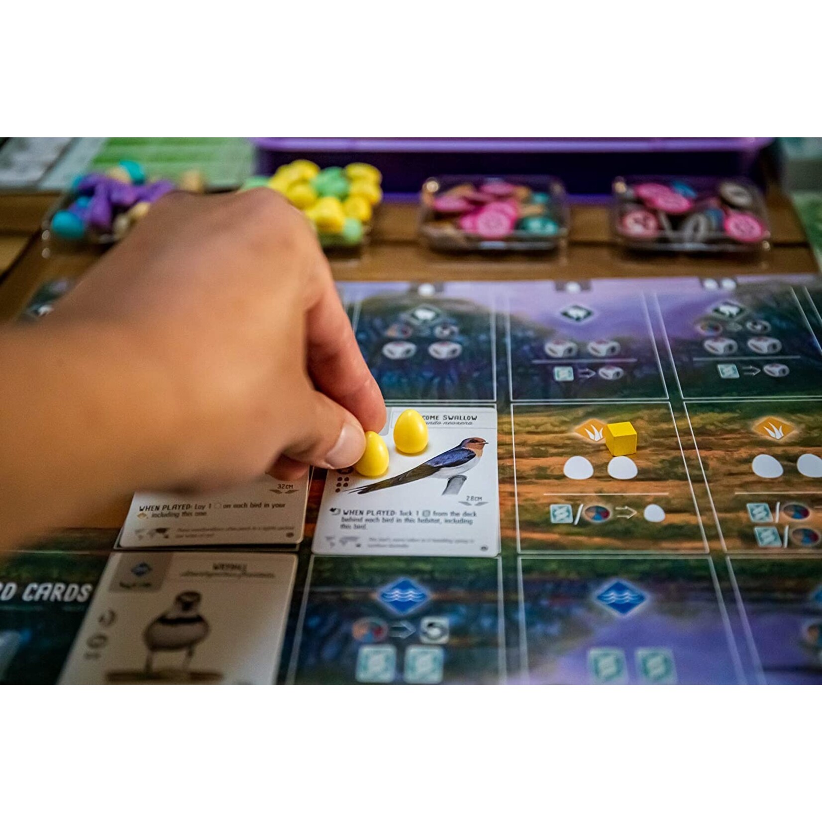 Stonemaier Games Wingspan: Oceania Expansion