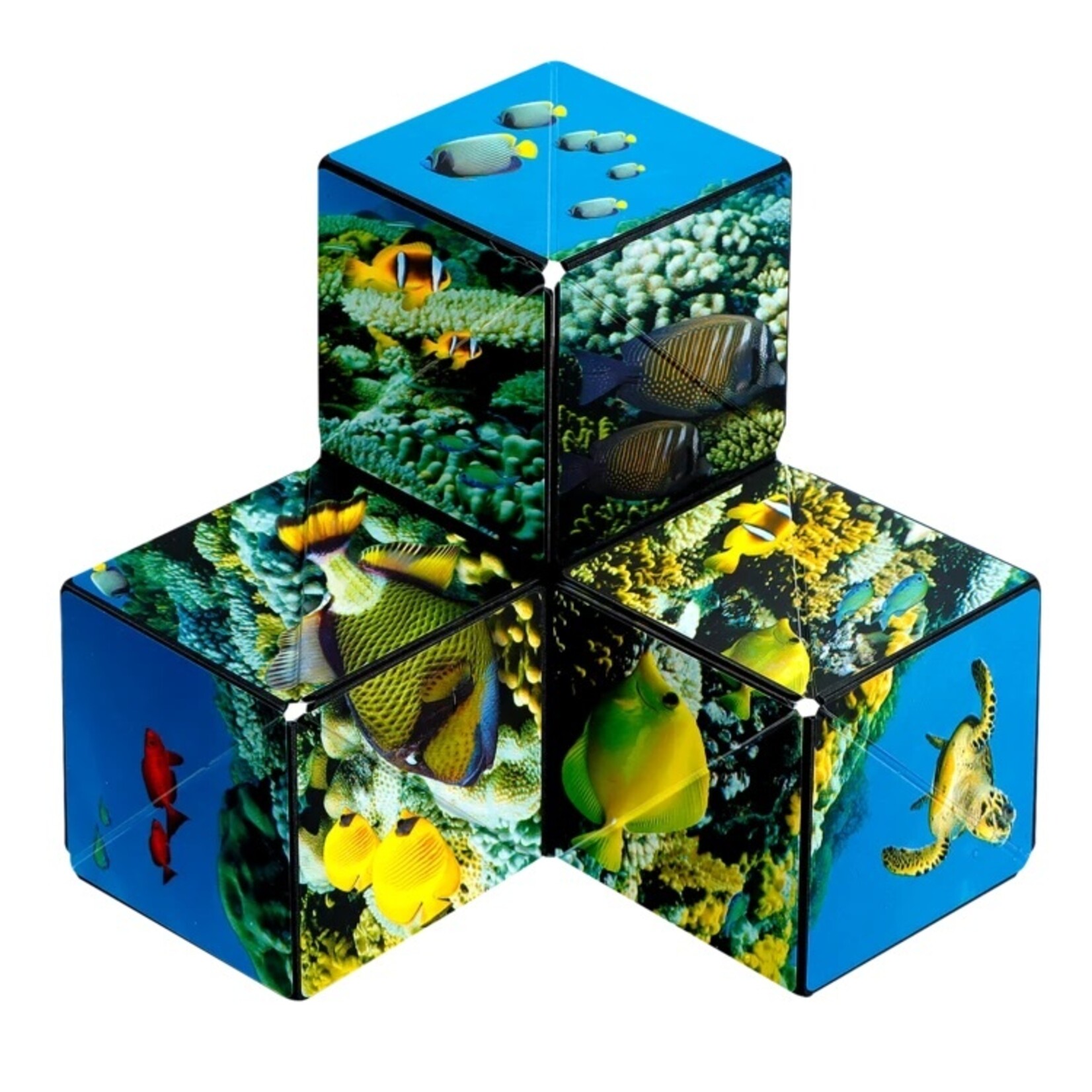 Fun In Motion Shashibo - Undersea