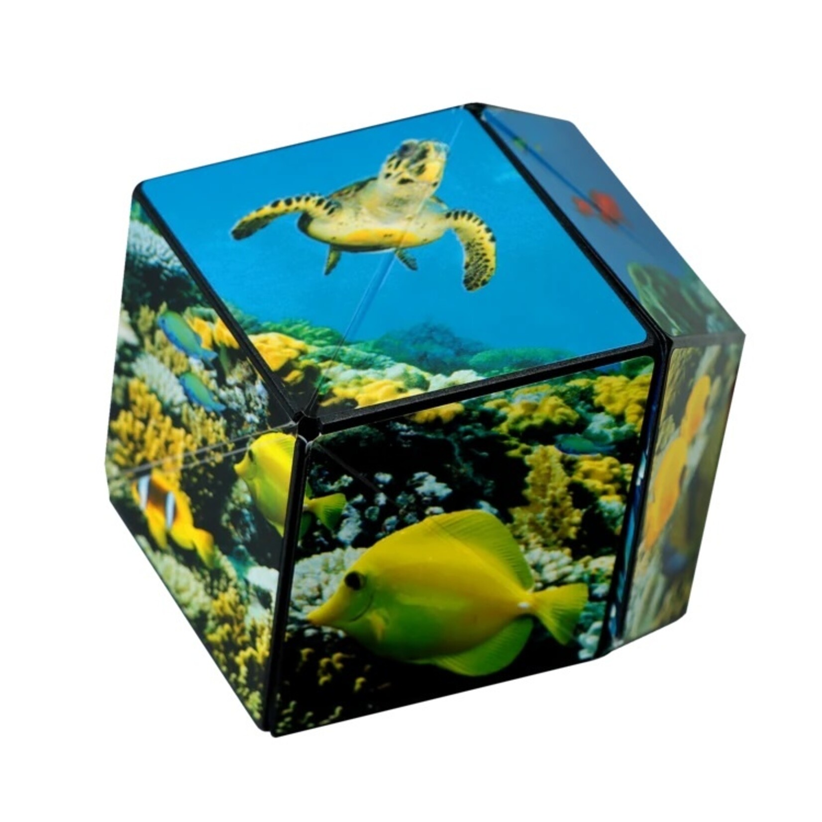 Fun In Motion Shashibo - Undersea