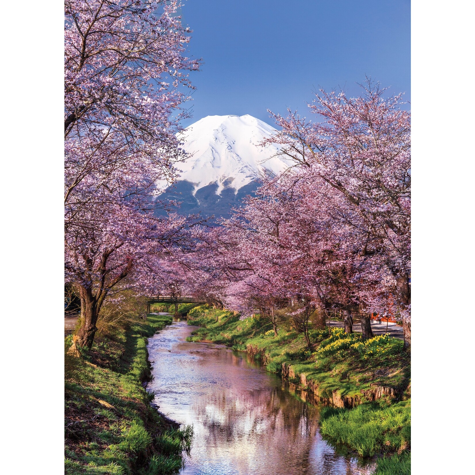 Clementoni Fuji Mountain - 1000 Piece Puzzle
