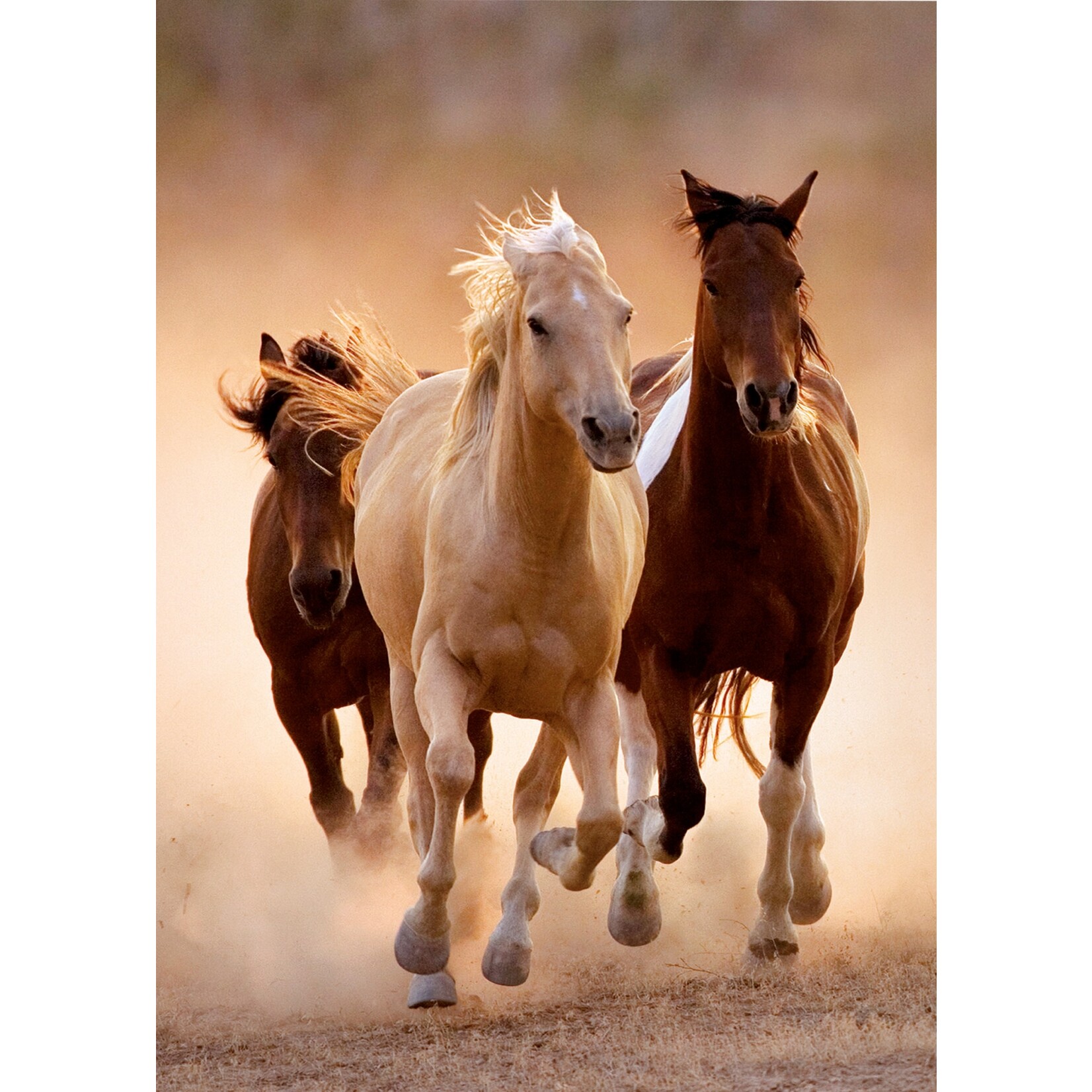 Clementoni Running Horses - 1000 Piece Puzzle