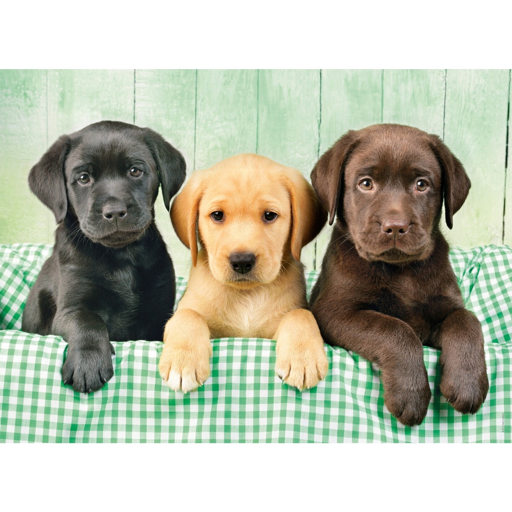 Clementoni Three Labs - 1000 Piece Puzzle