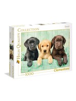 Clementoni Three Labs - 1000 Piece Puzzle