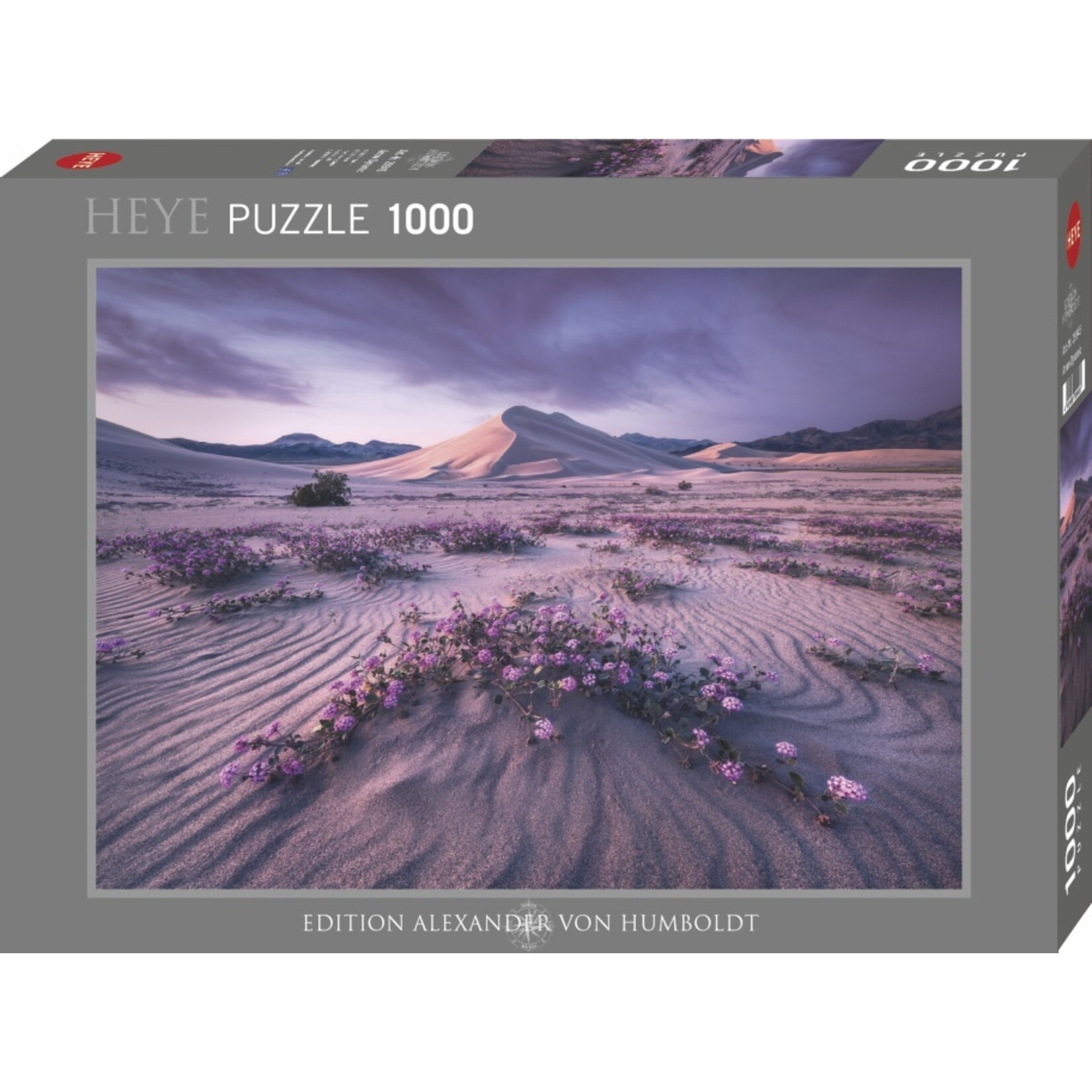 Heye Arrow Dynamic - 1000 Piece Puzzle