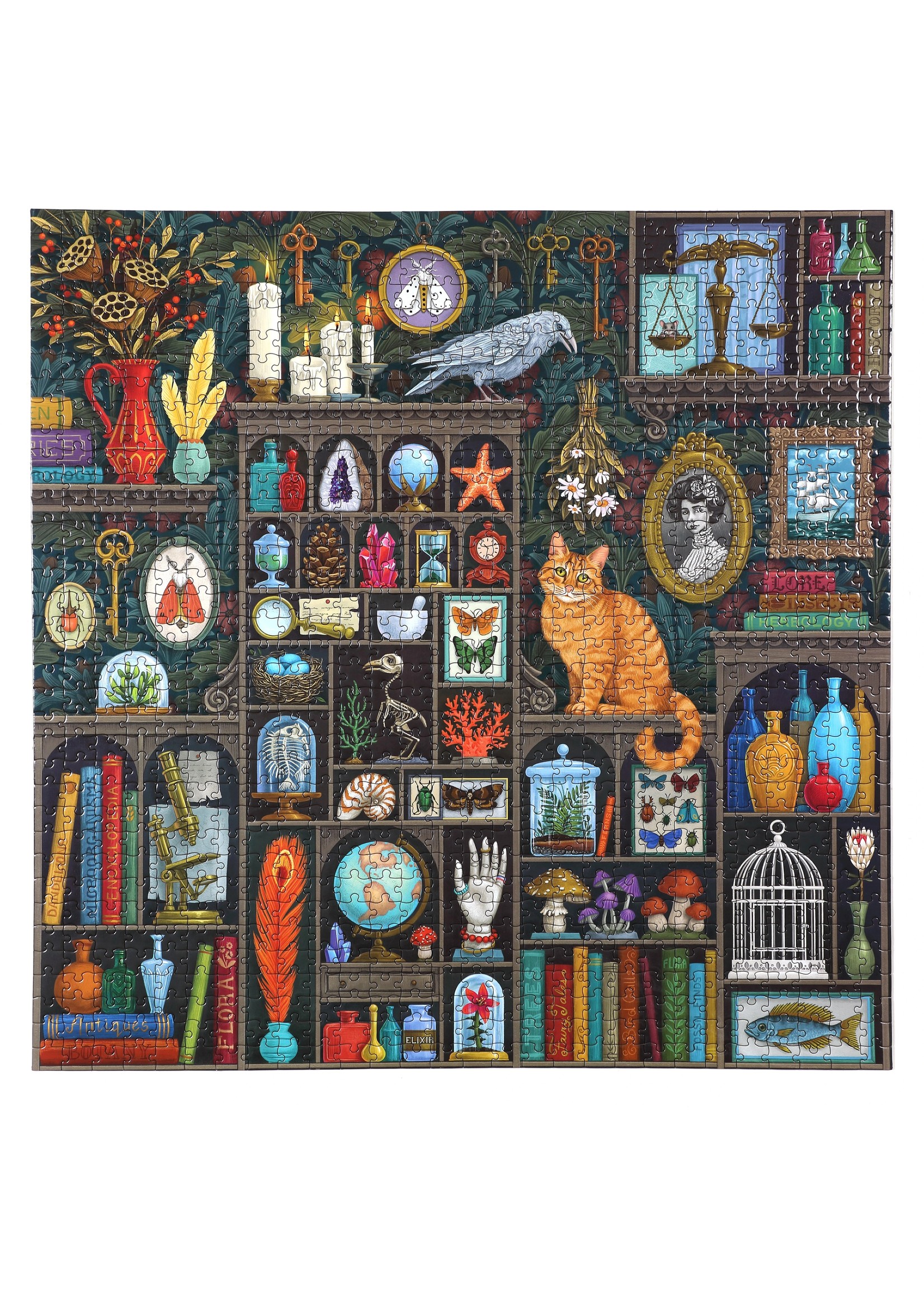 Eeboo Alchemist's Cabinet - 1000 Piece Puzzle
