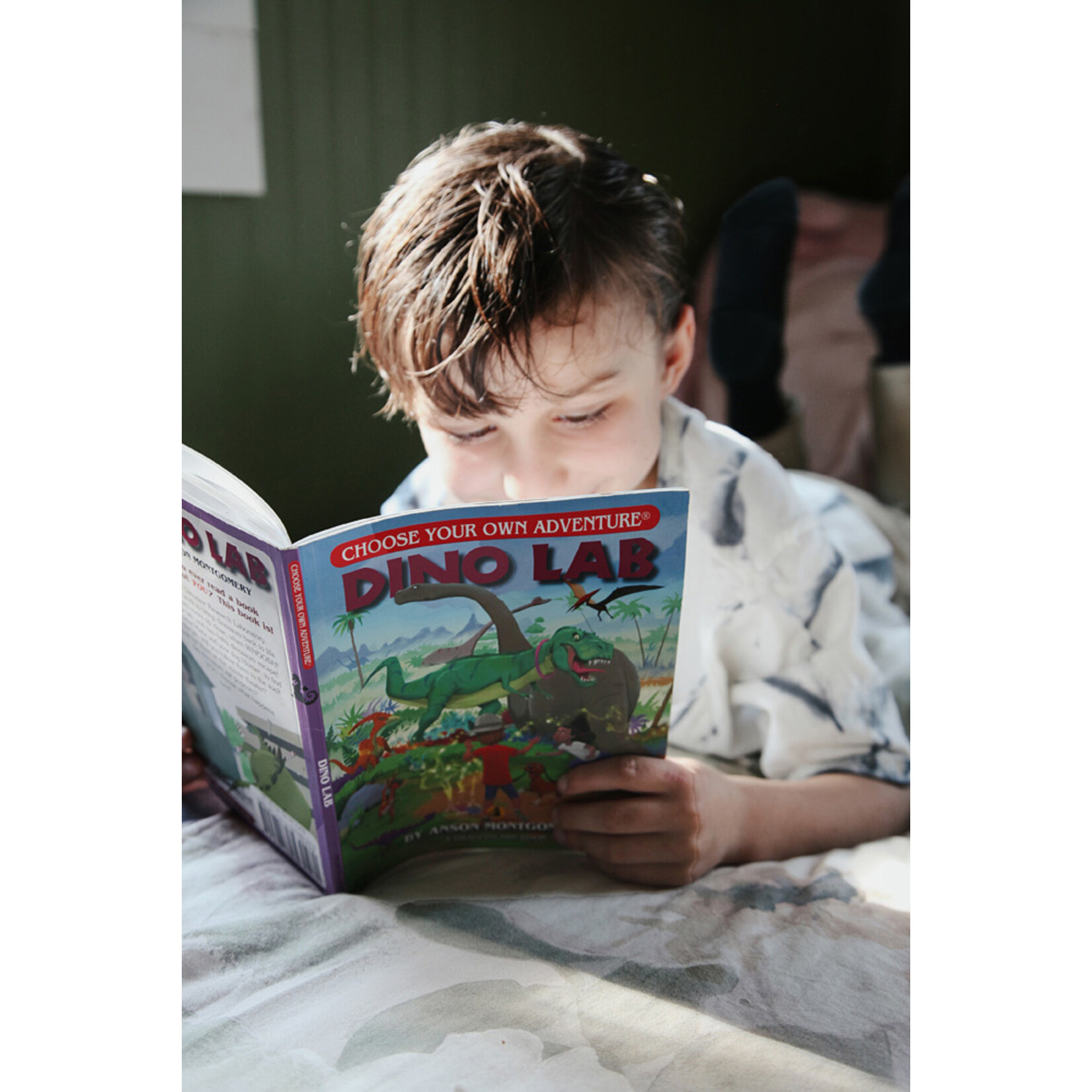 Chooseco Choose Your Own Adventure - Dragonlarks Set