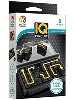 Smart Toys IQ Circuit