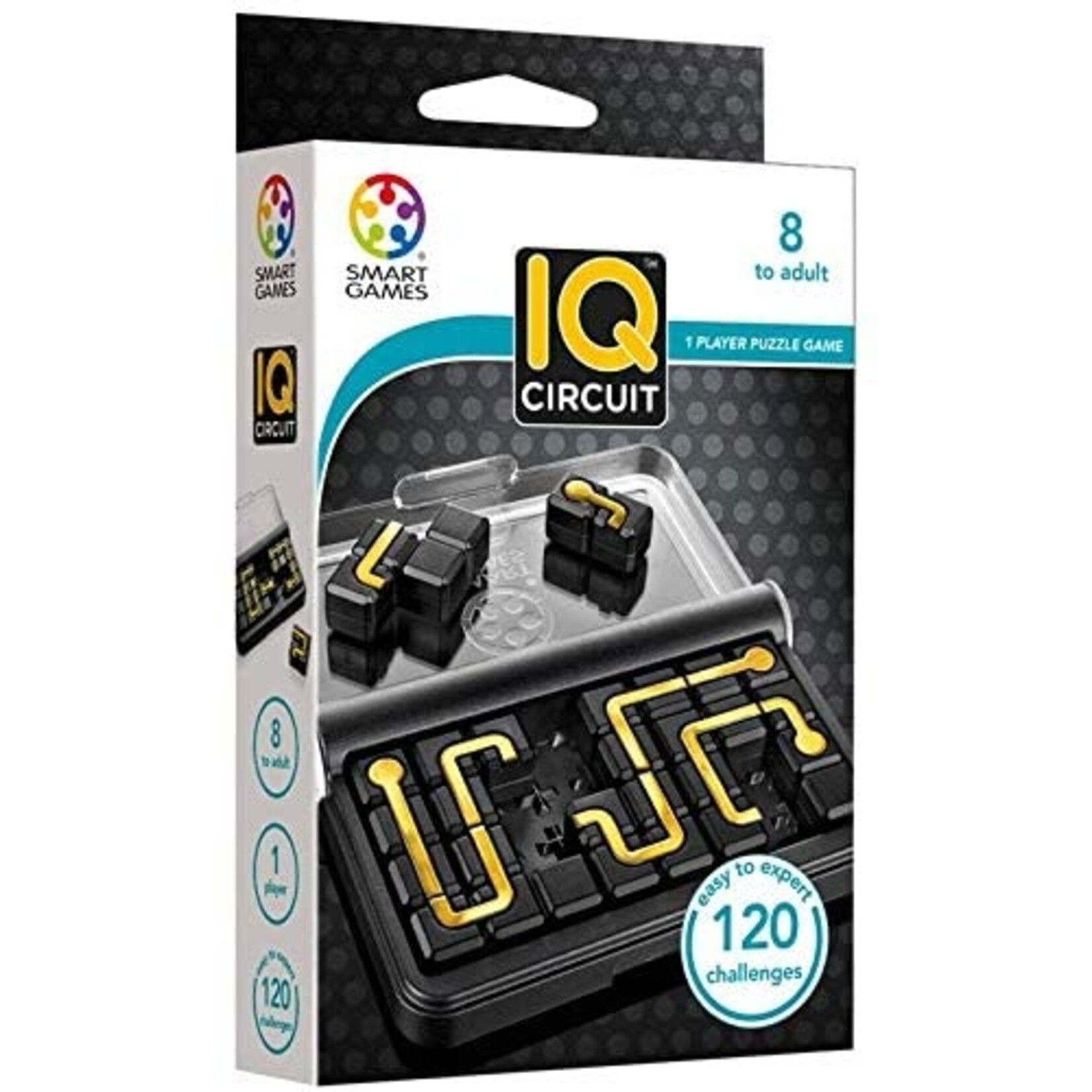 Smart Toys IQ Circuit