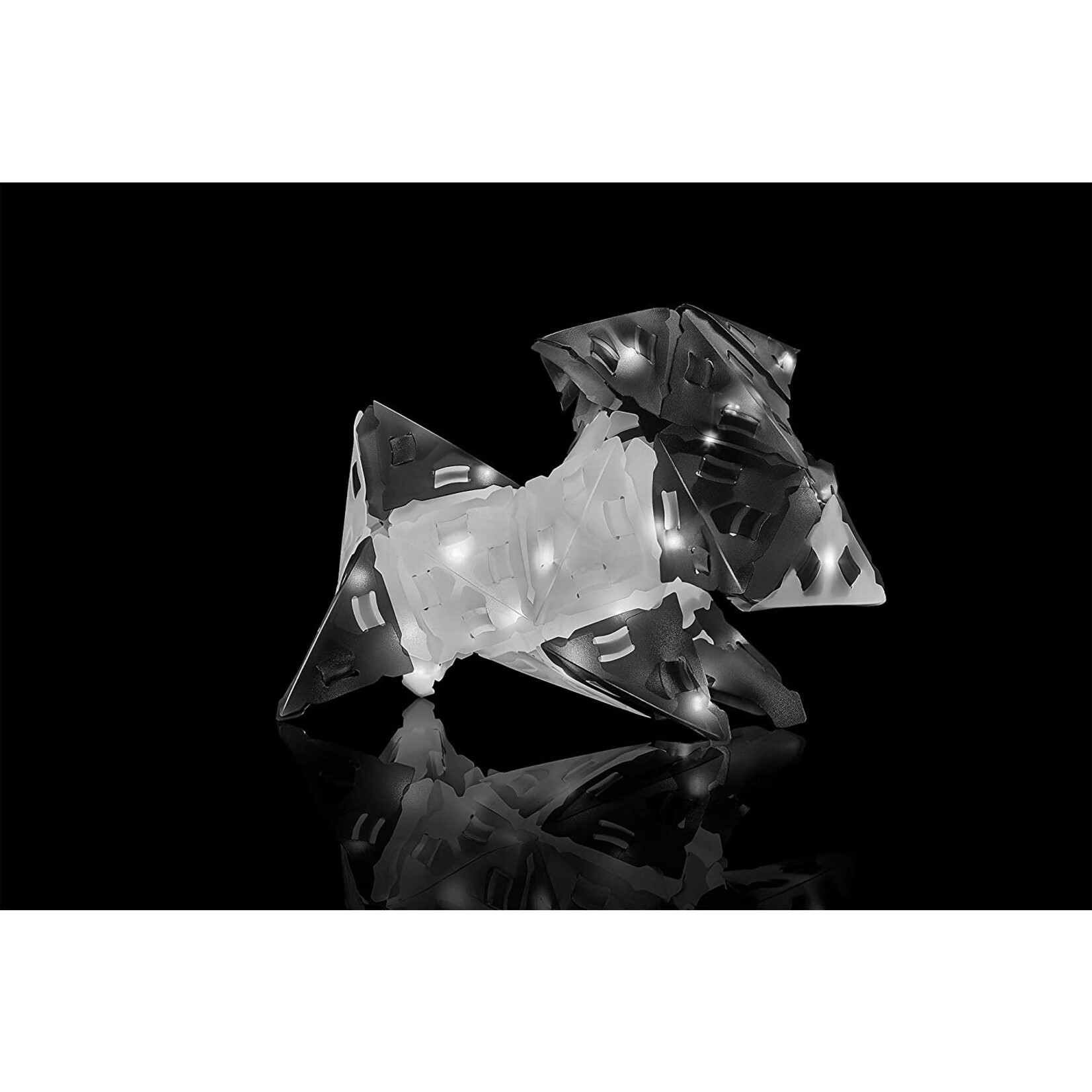 Thames & Kosmos Glowing Panda & Monochrome Crew