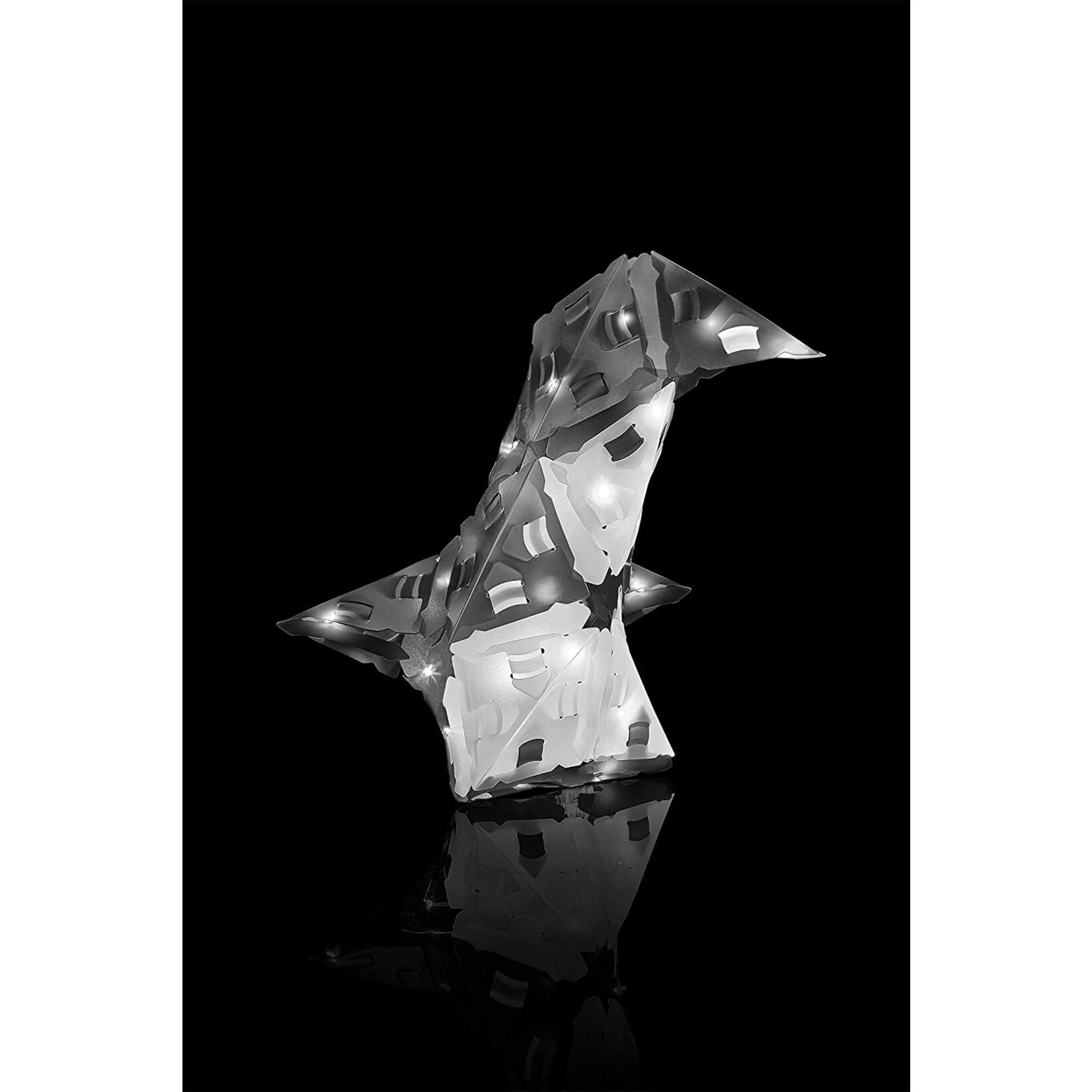 Thames & Kosmos Glowing Panda & Monochrome Crew