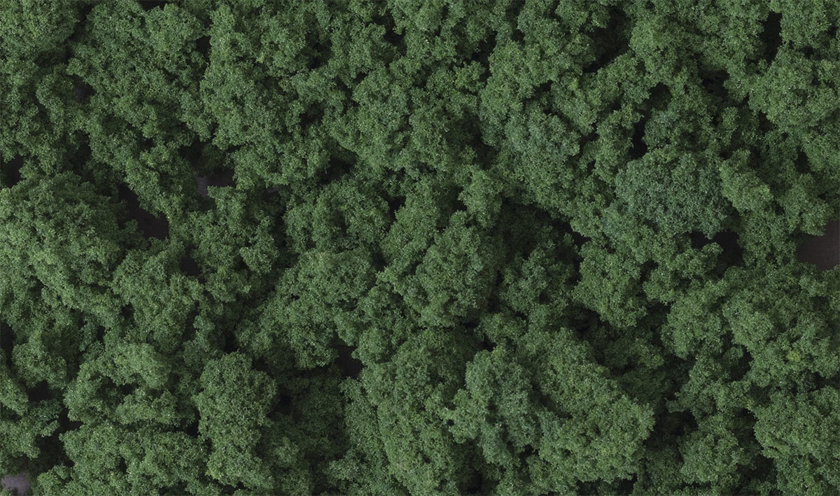 684 Clump-Foilage Dark Green/1qt