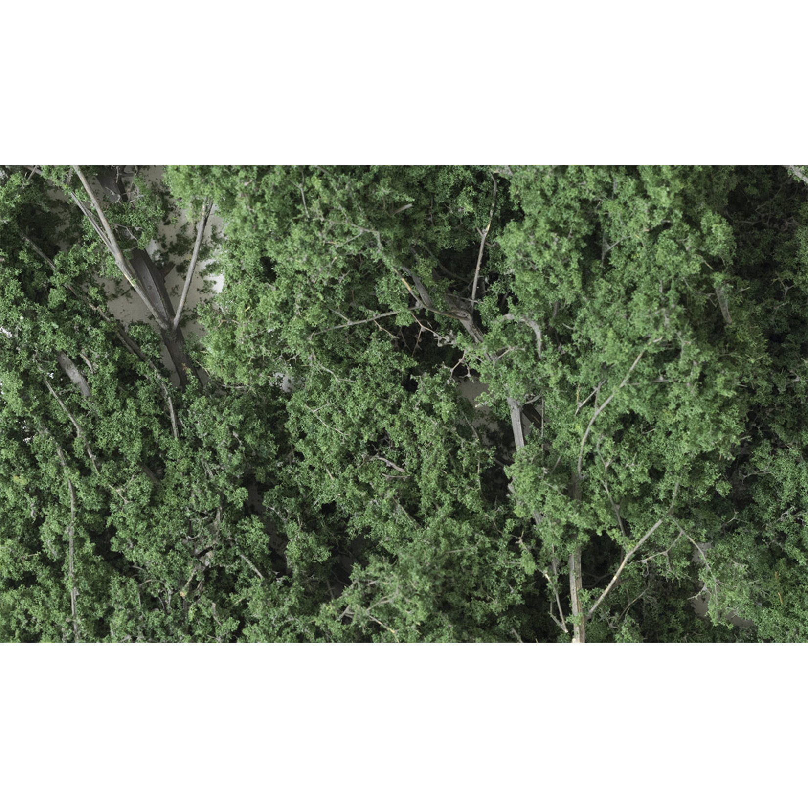 Woodland Scenics F1130 - Fine-Leaf Foliage, 75 cu. in. - Dark Green