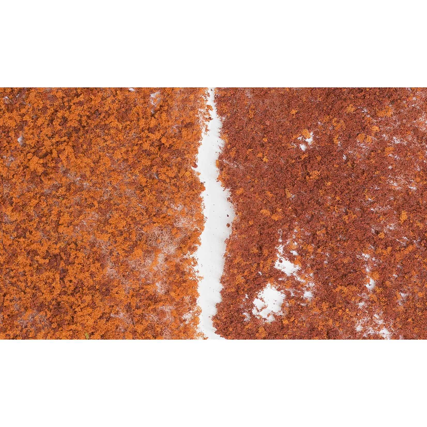 Woodland Scenics F56 - Foliage Bag, 72 sq. in. - Late Fall