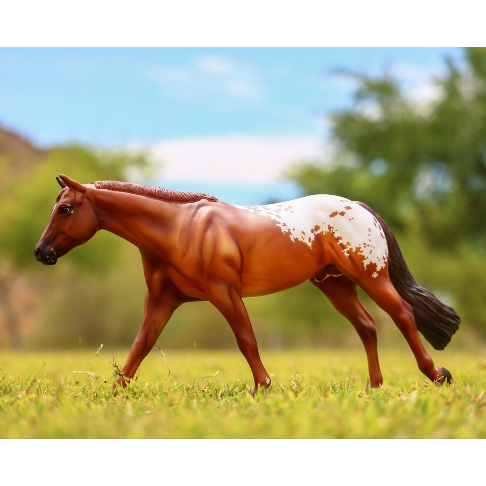 Breyer Chocolately