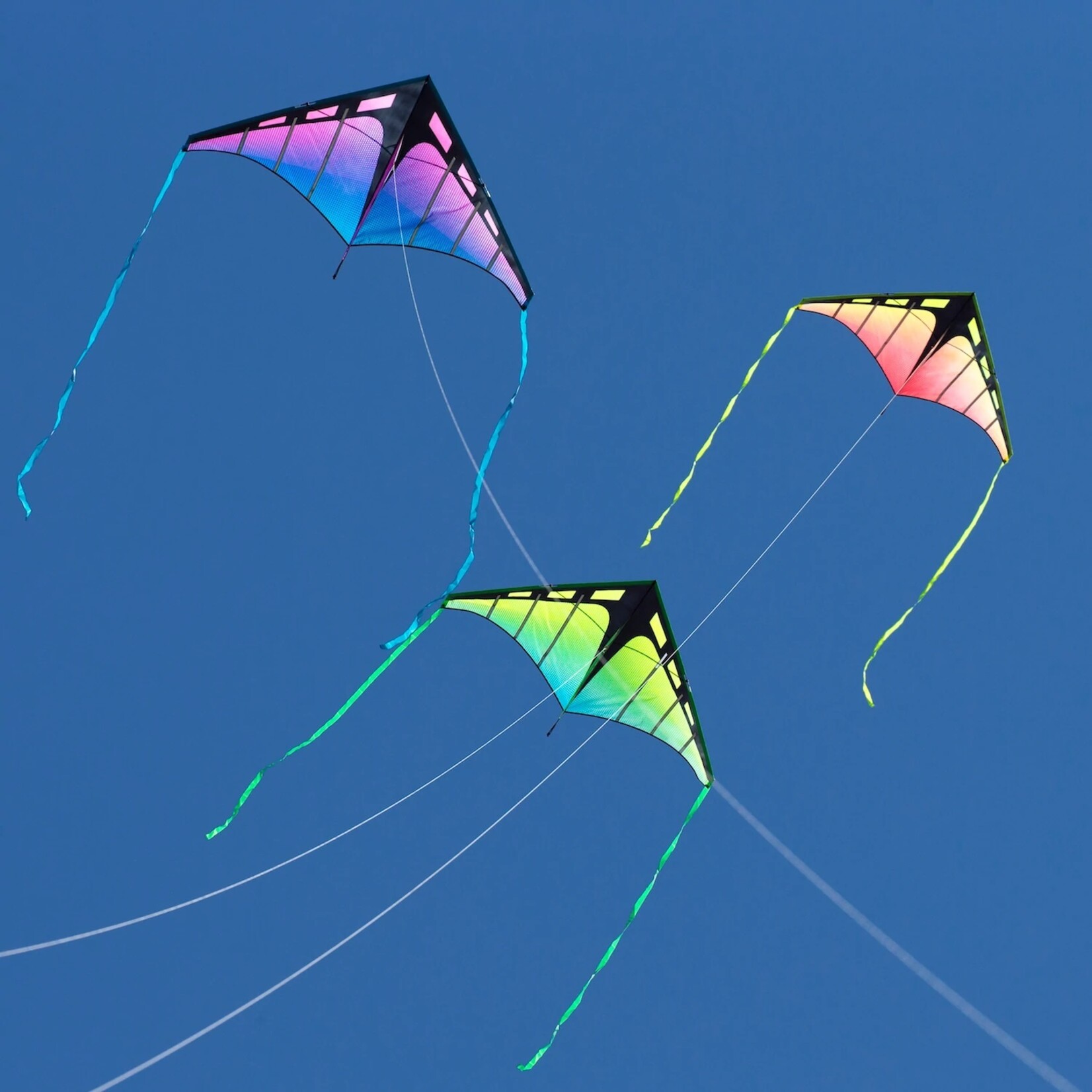 Prism Zenith 5 Ultraviolet - Single Line Kite
