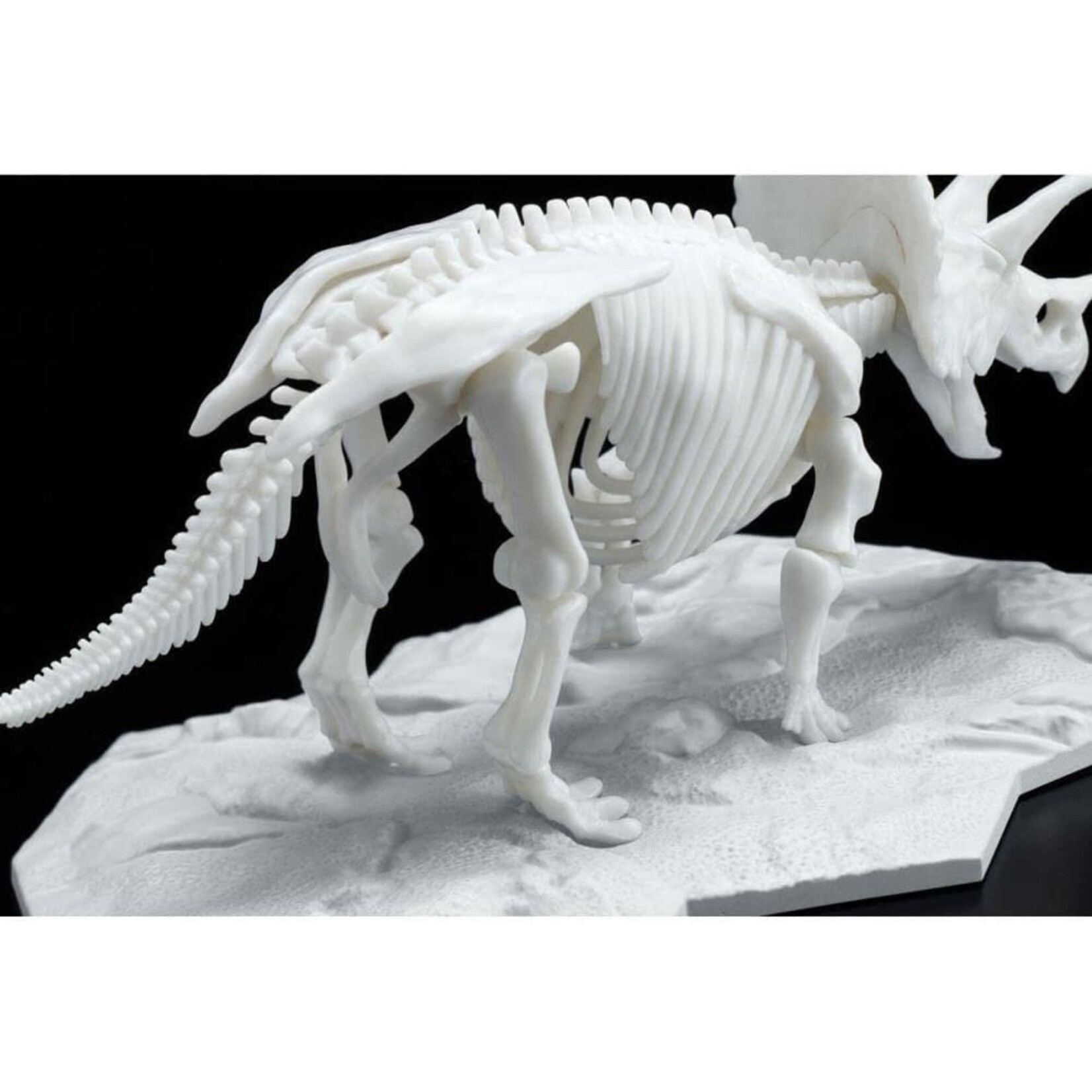 Bandai Triceratops Dinosaur Model Kit Limex Skeleton