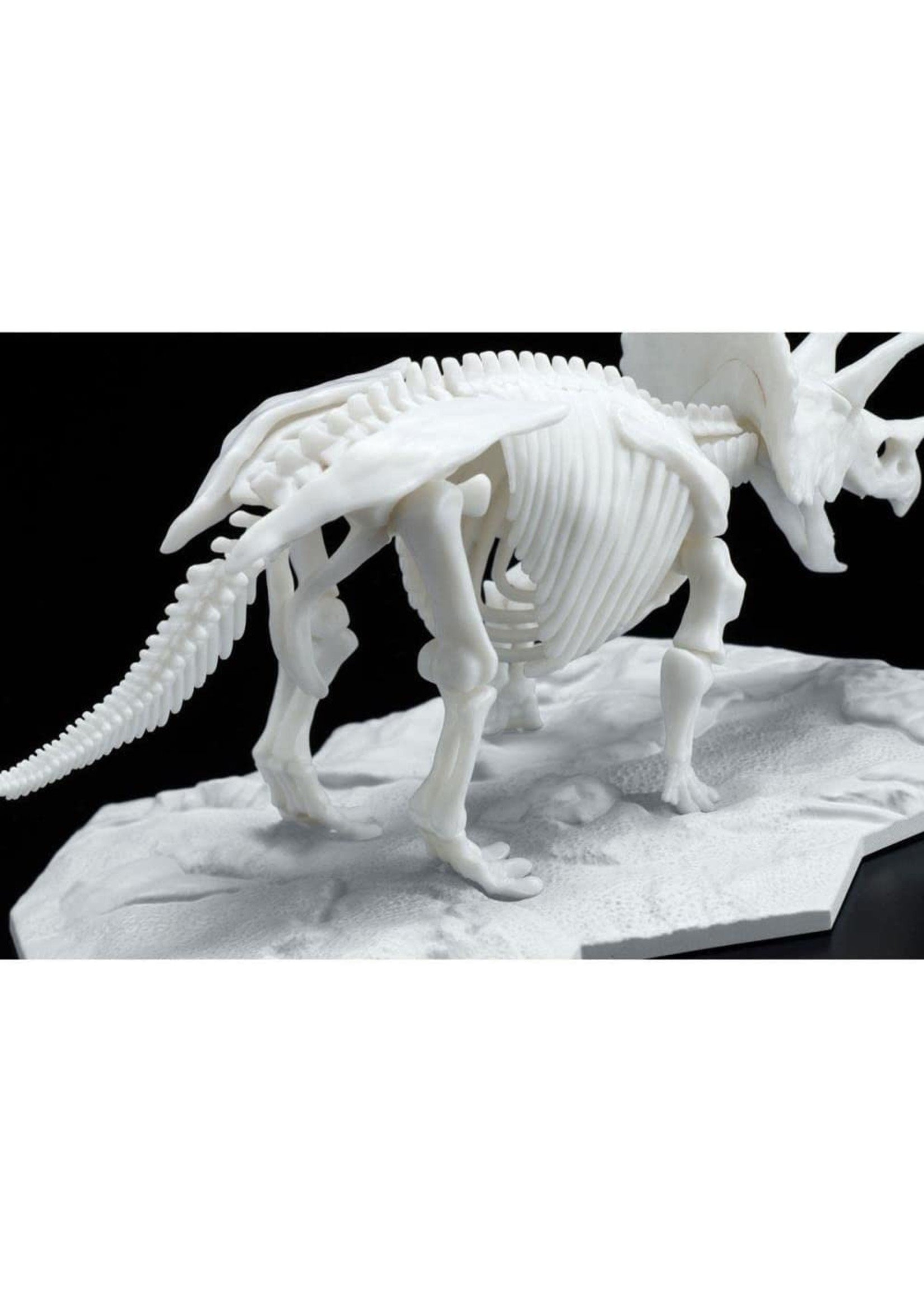 Bandai Triceratops Dinosaur Model Kit Limex Skeleton