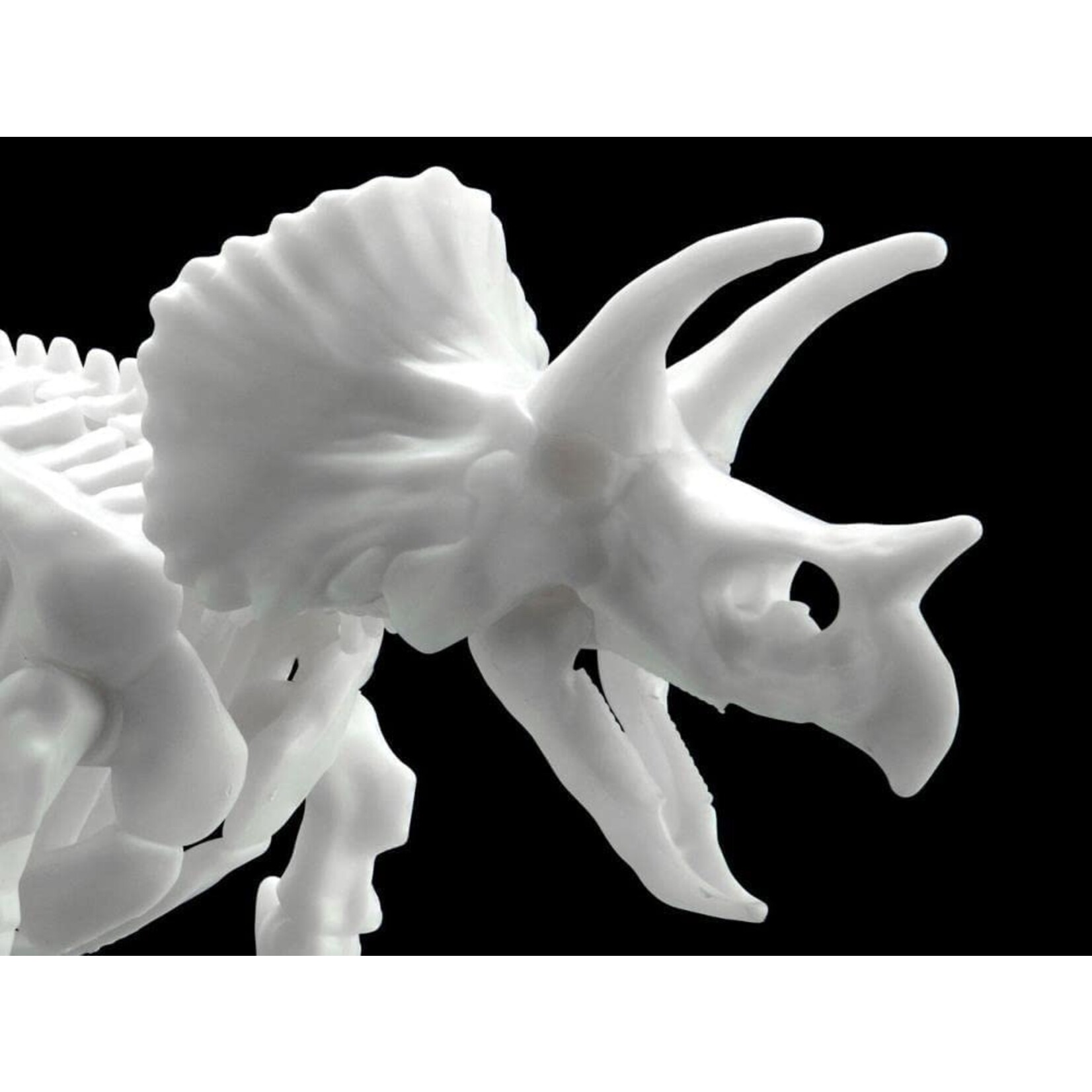 Bandai Triceratops Dinosaur Model Kit Limex Skeleton