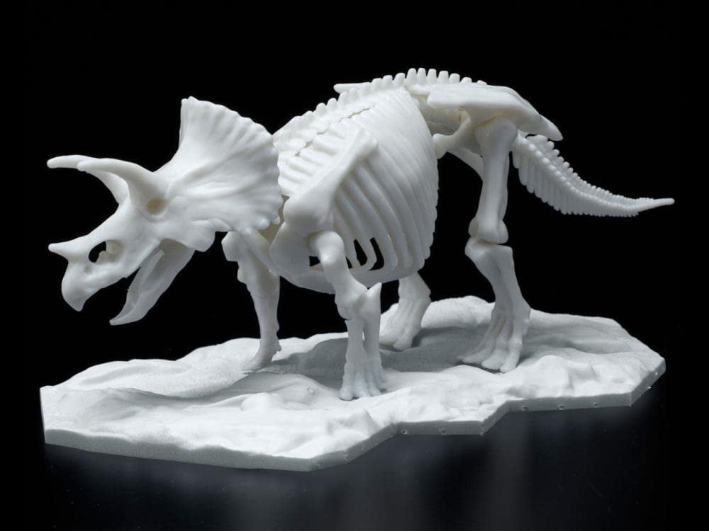 Triceratops Dinosaur Model Kit Limex Skeleton