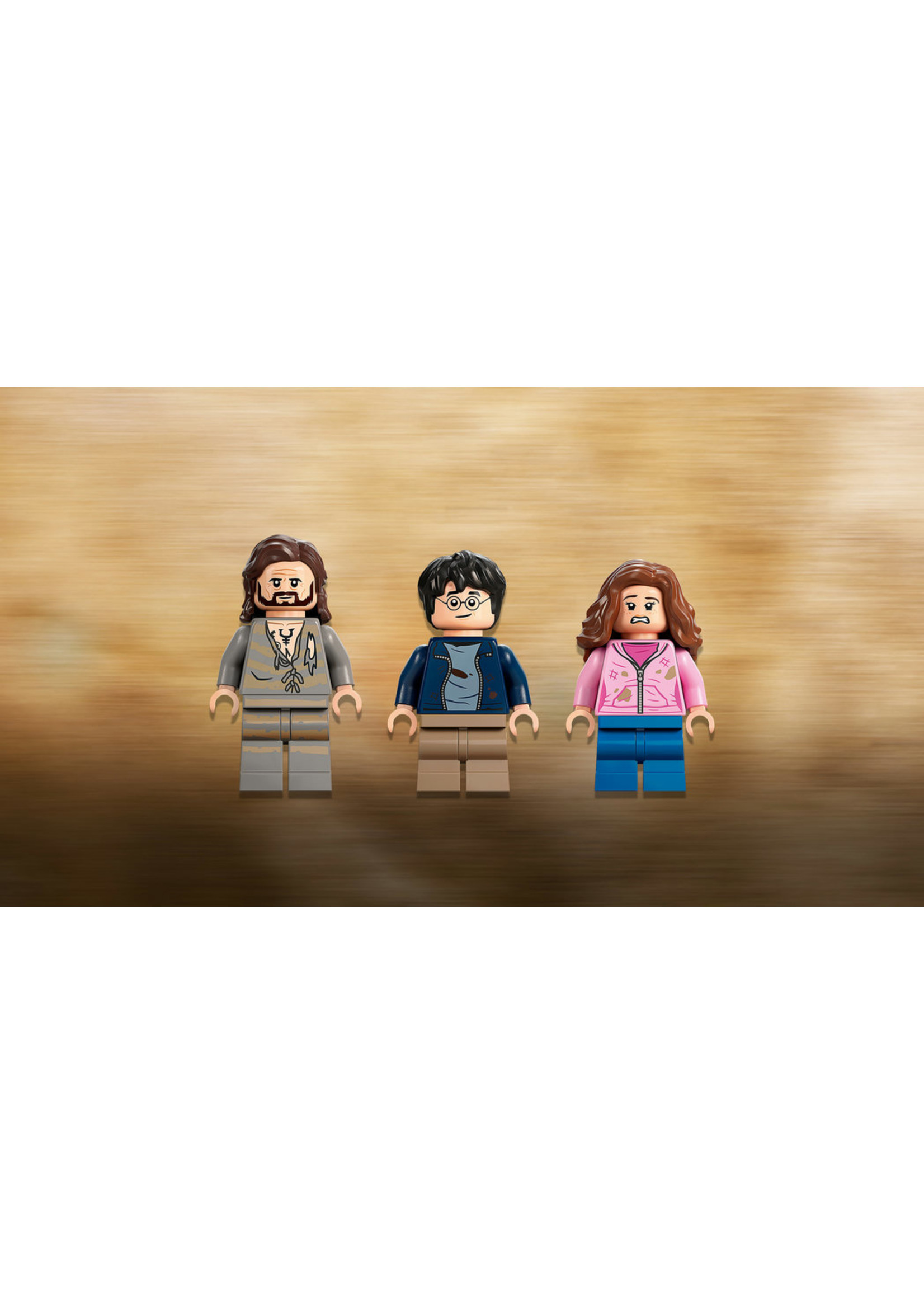 LEGO 76401 - Hogwarts Courtyard Sirius's Rescue