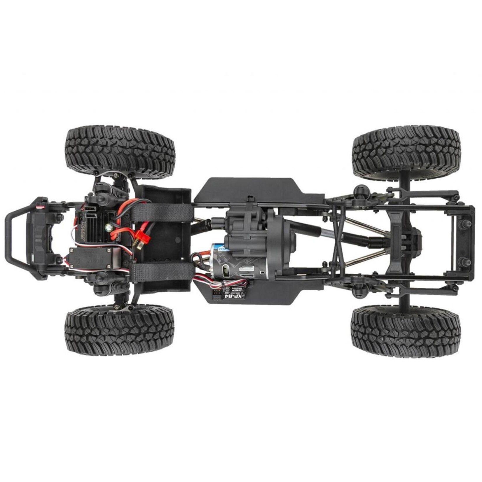 Associated 40117 - Element RC Enduro Ecto, RTR - Green