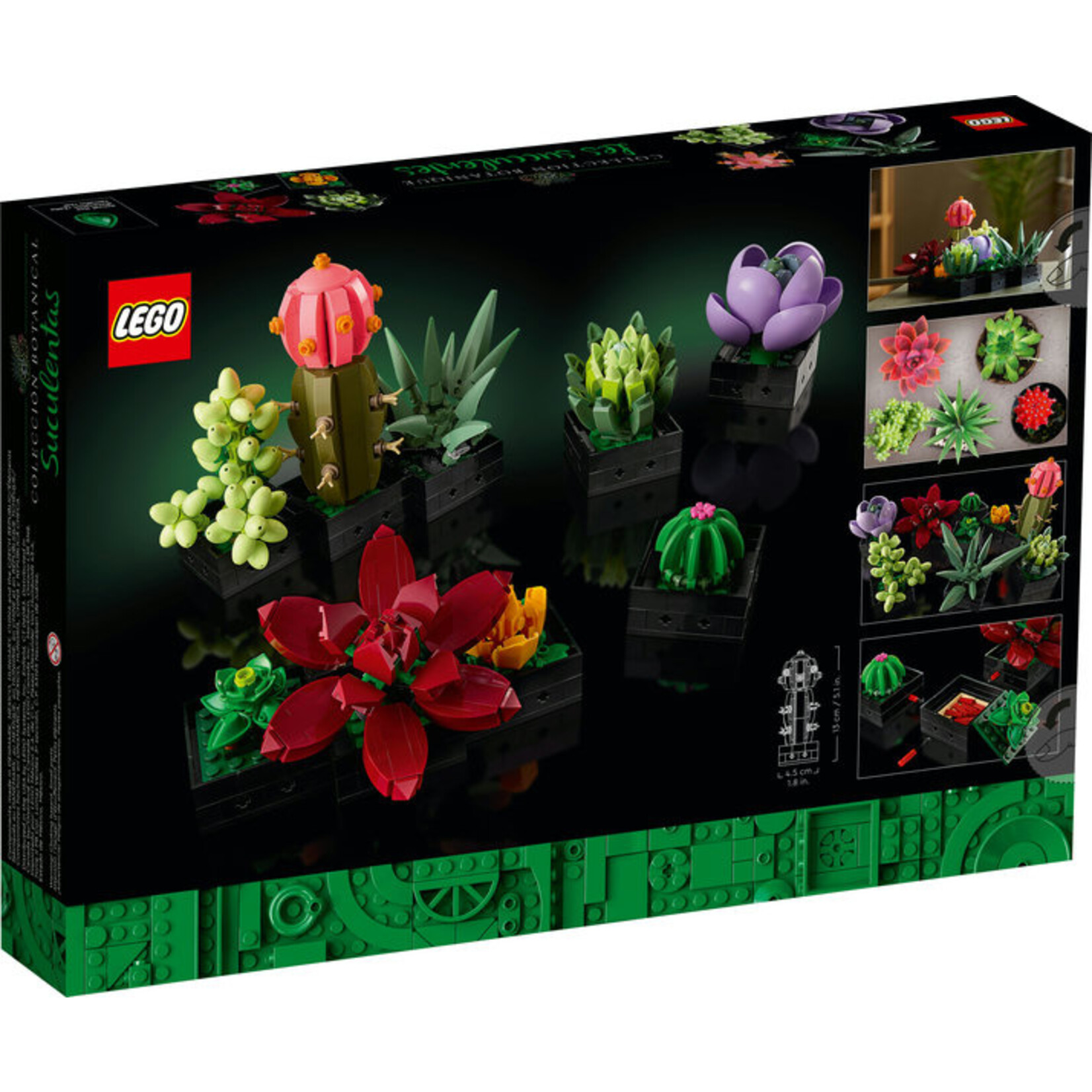 LEGO® Botanicals 10309 - Succulents