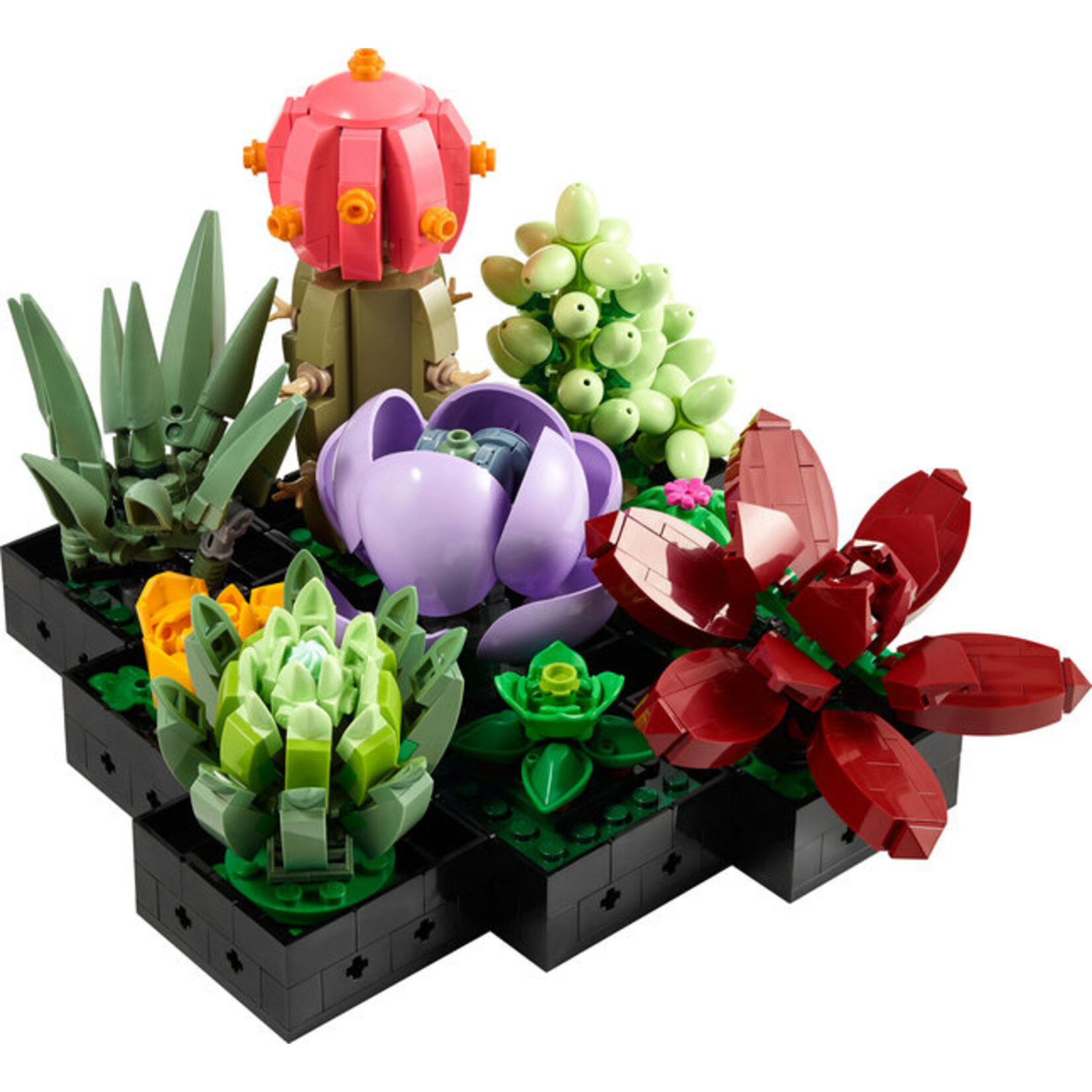 LEGO® Botanicals 10309 - Succulents