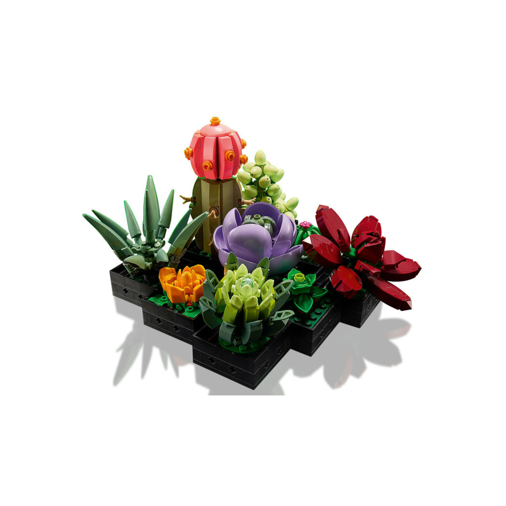 LEGO® Botanicals 10309 - Succulents